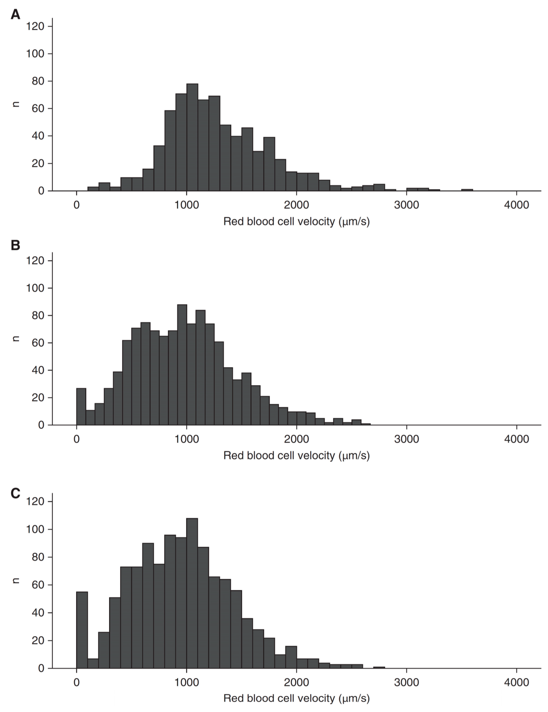 Medicina 59 01262 g006 Medicina 59 01262 g006