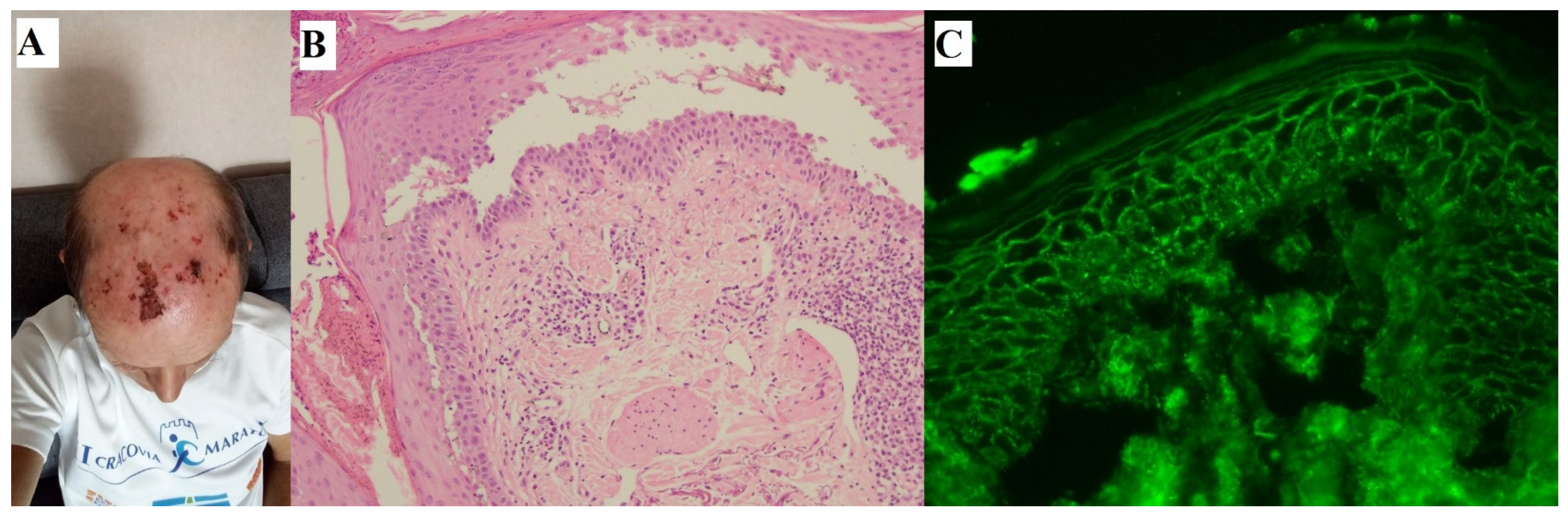 Medicina 59 01265 g002