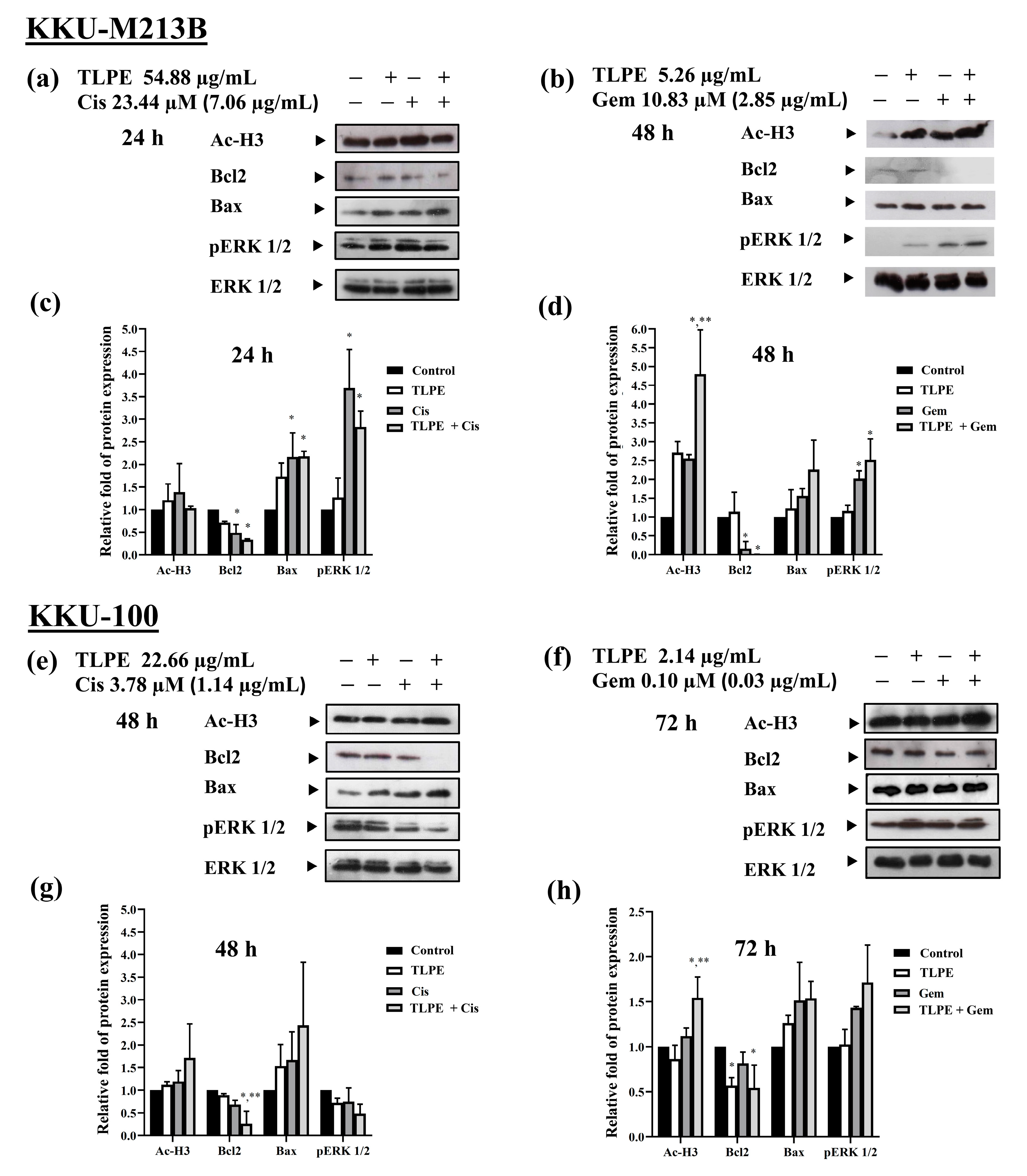 Medicina 59 01269 g007 Medicina 59 01269 g007