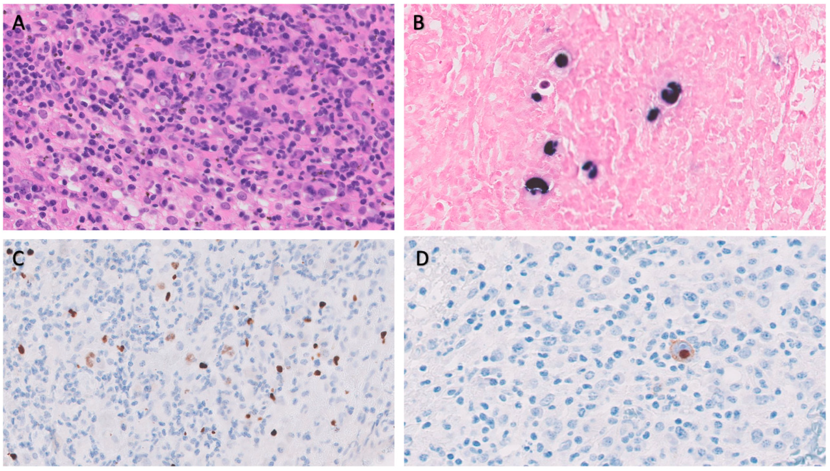 Medicina 59 01274 g001