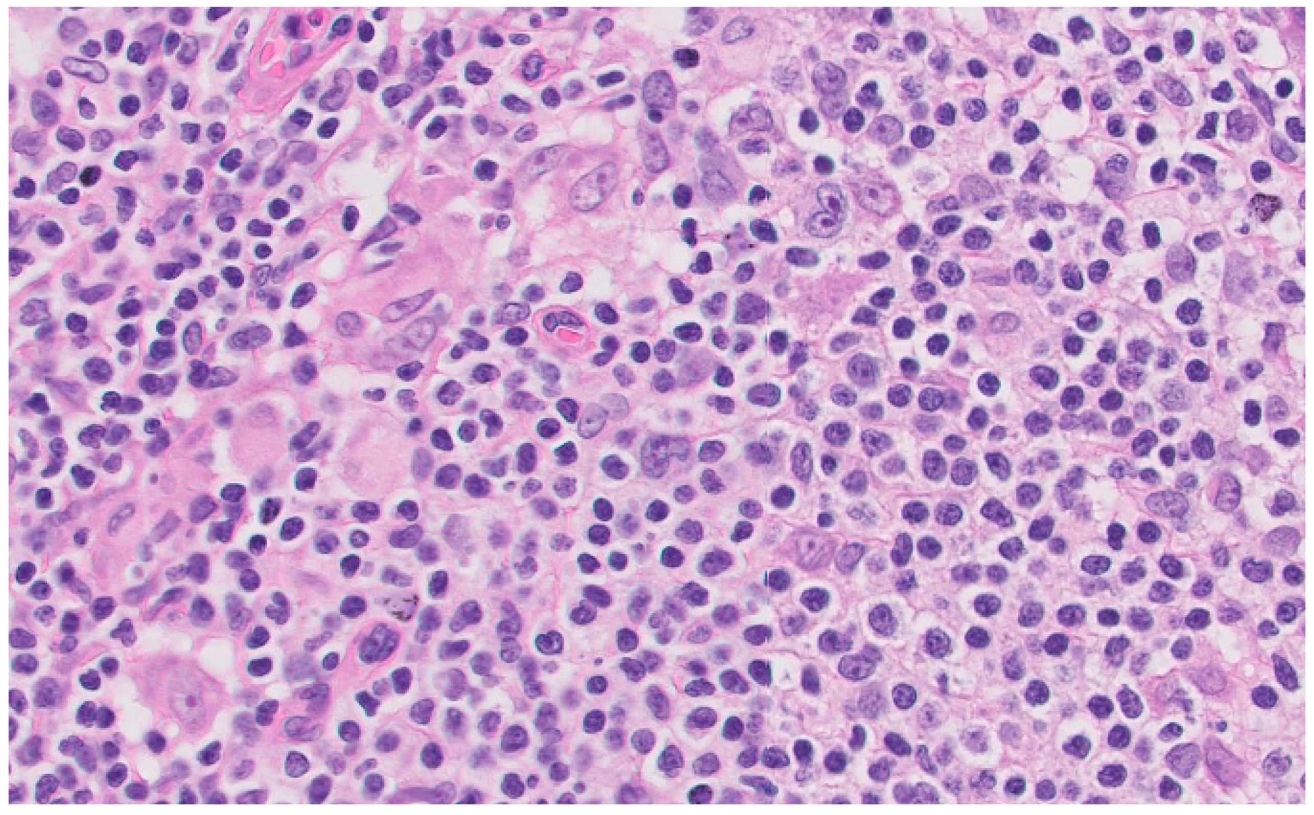 Medicina 59 01274 g003