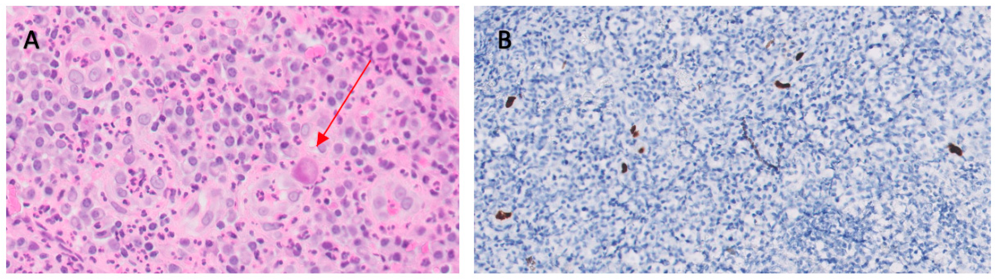 Medicina 59 01274 g005