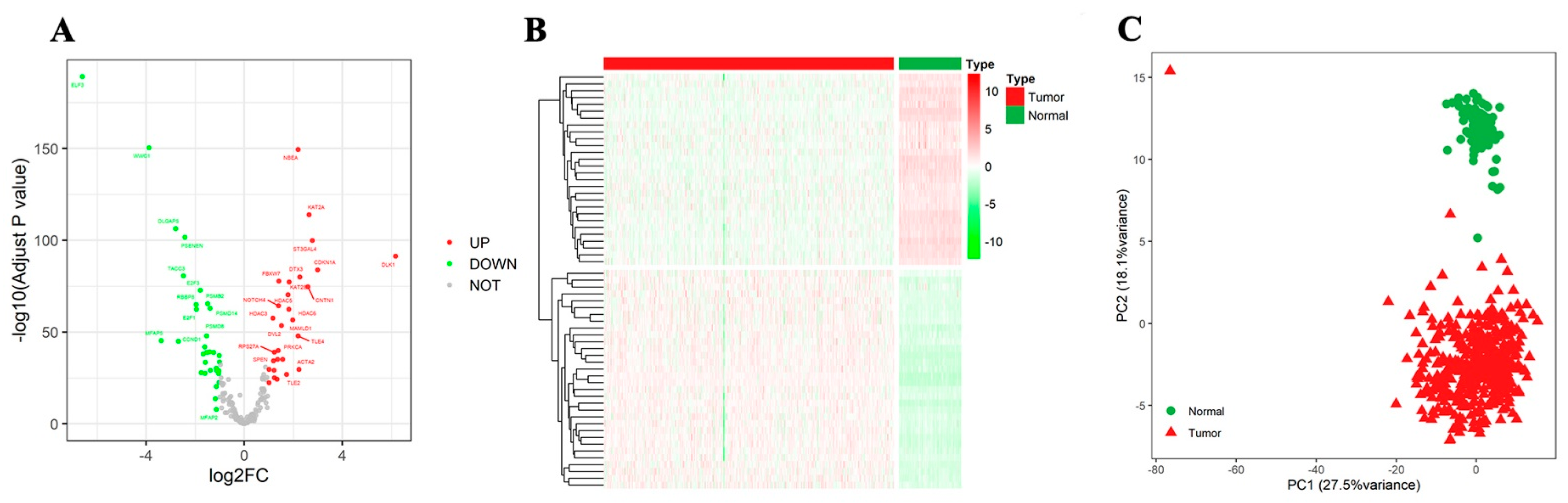 Medicina 59 01277 g001