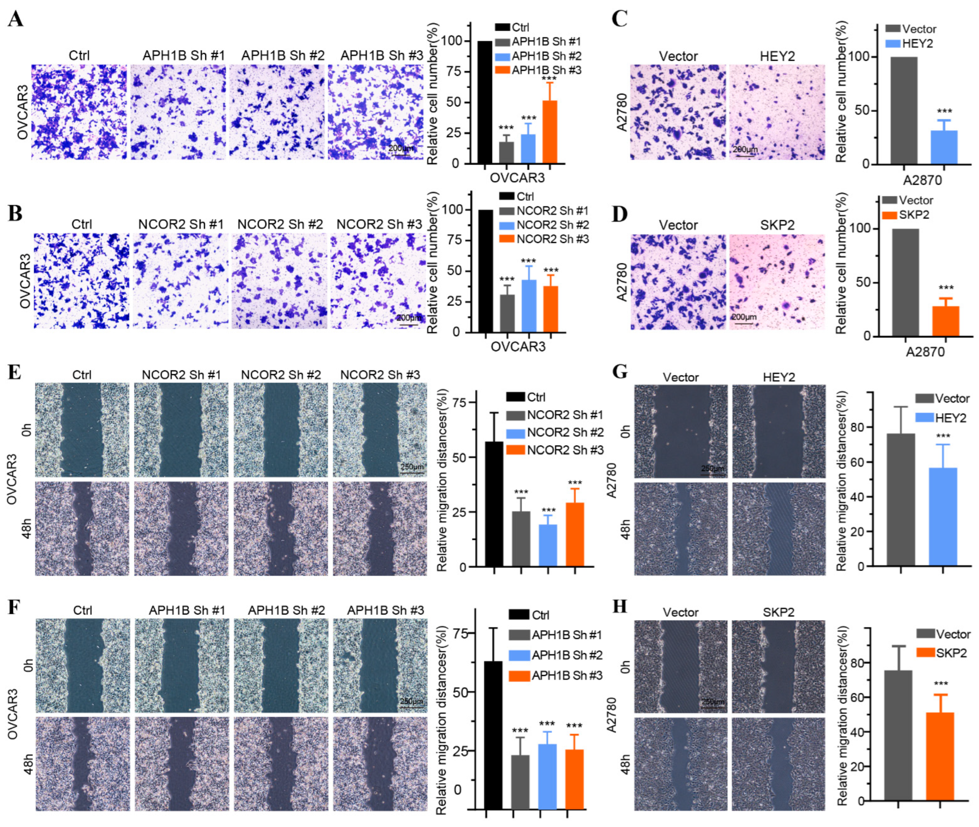 Medicina 59 01277 g010