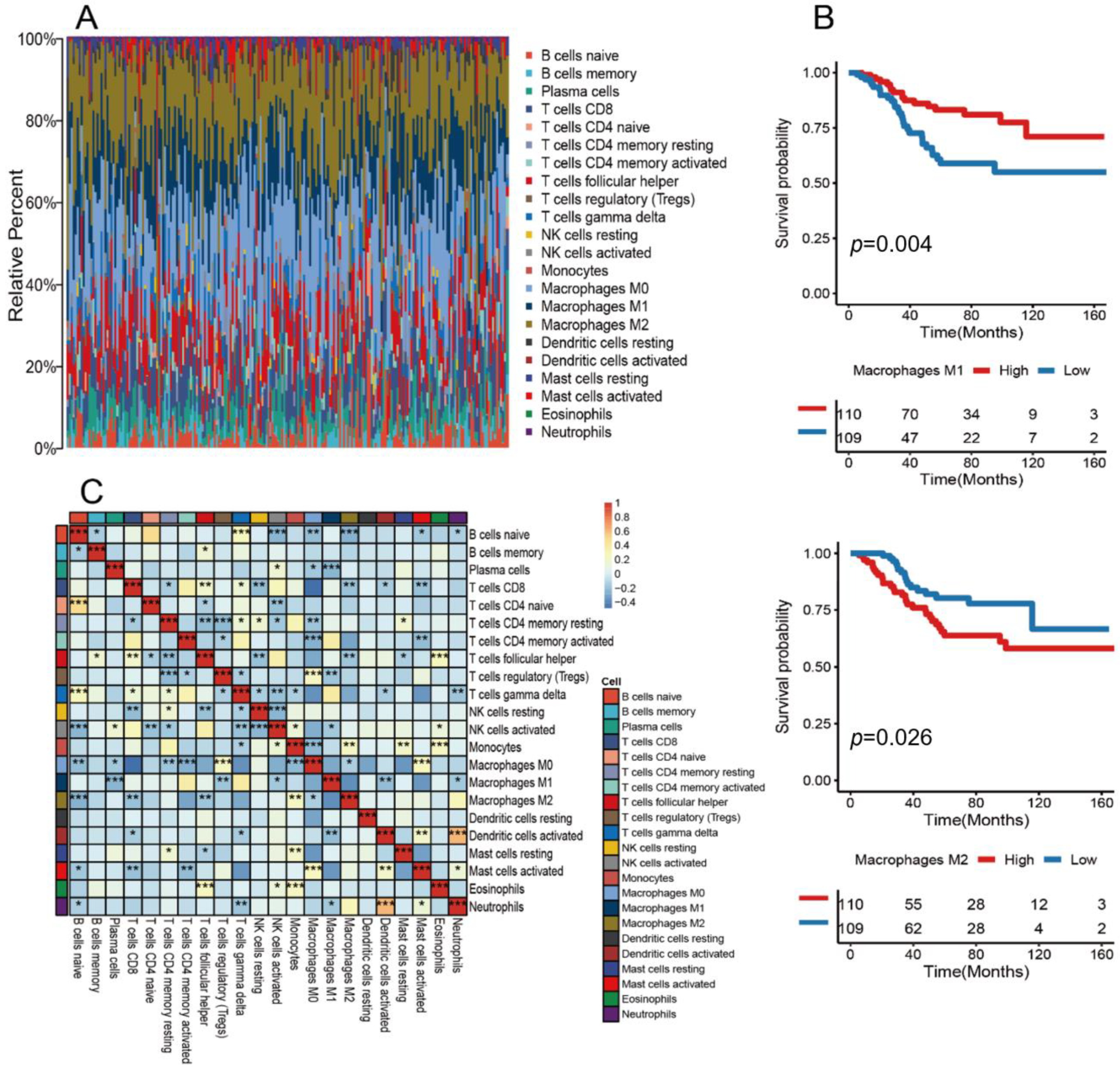 Medicina 59 01285 g001 Medicina 59 01285 g001
