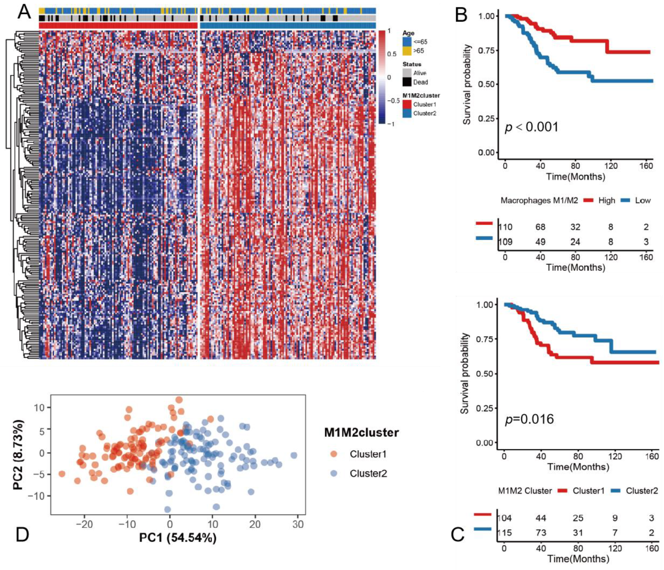 Medicina 59 01285 g002 Medicina 59 01285 g002