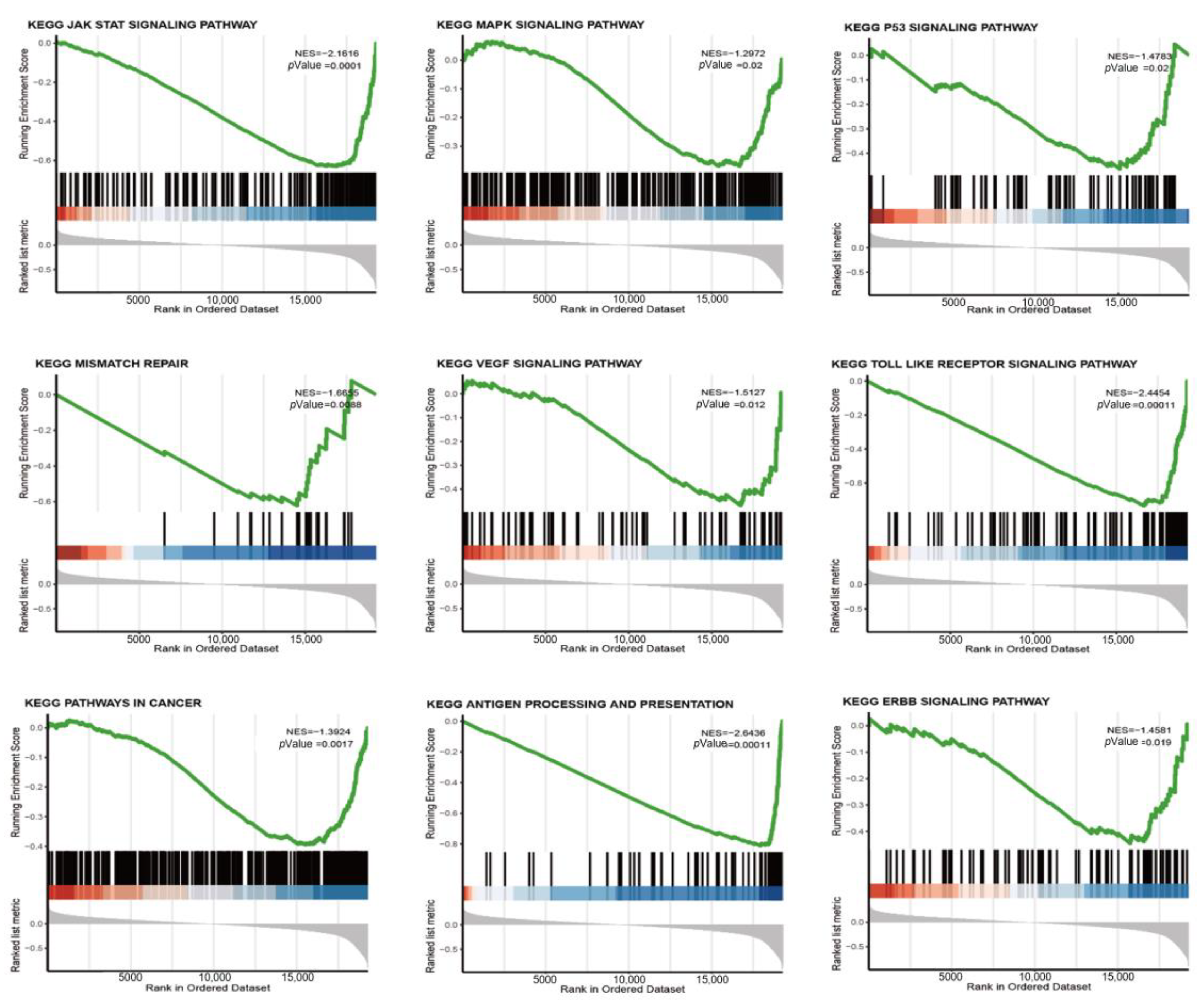 Medicina 59 01285 g004 Medicina 59 01285 g004