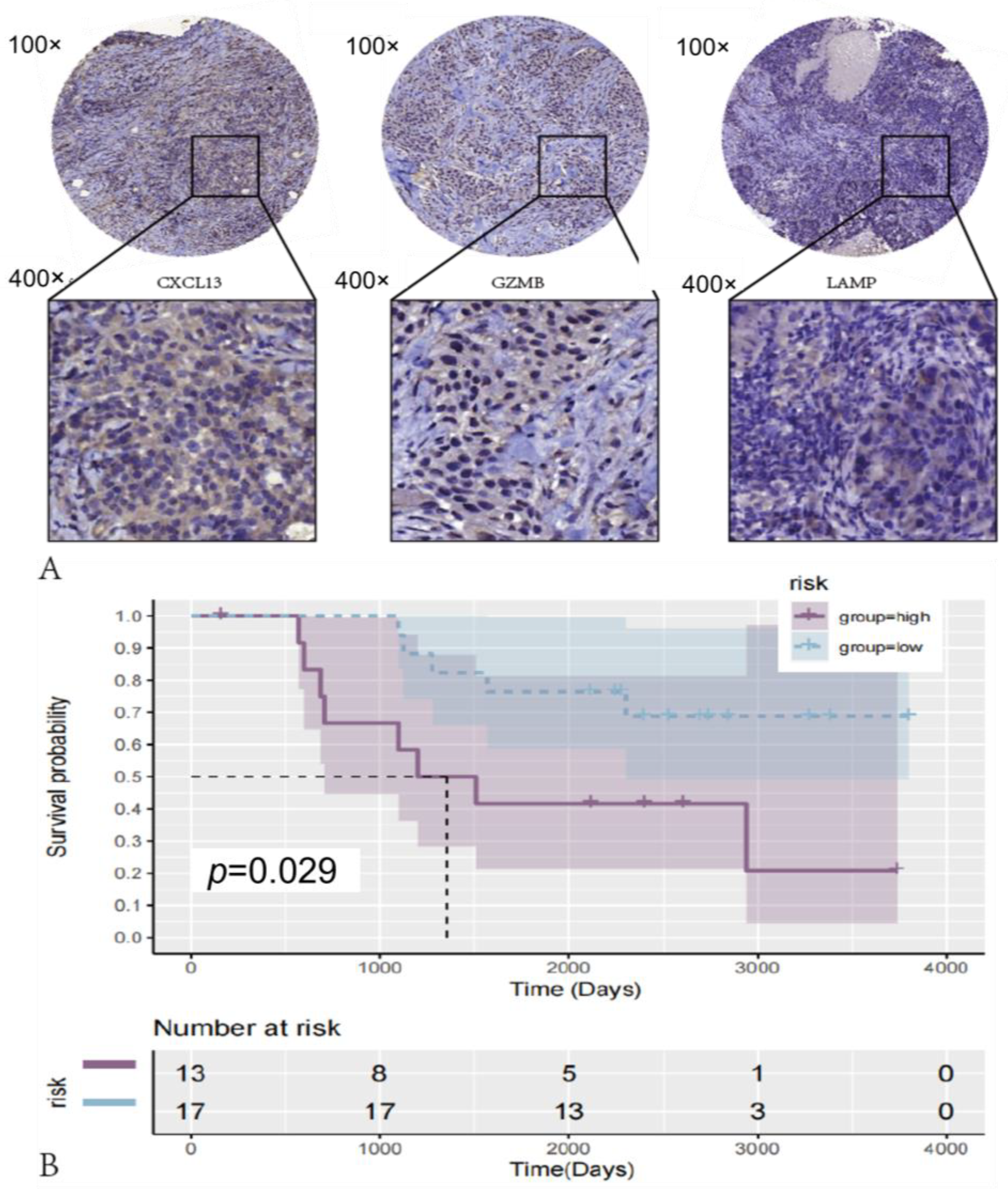 Medicina 59 01285 g008 Medicina 59 01285 g008