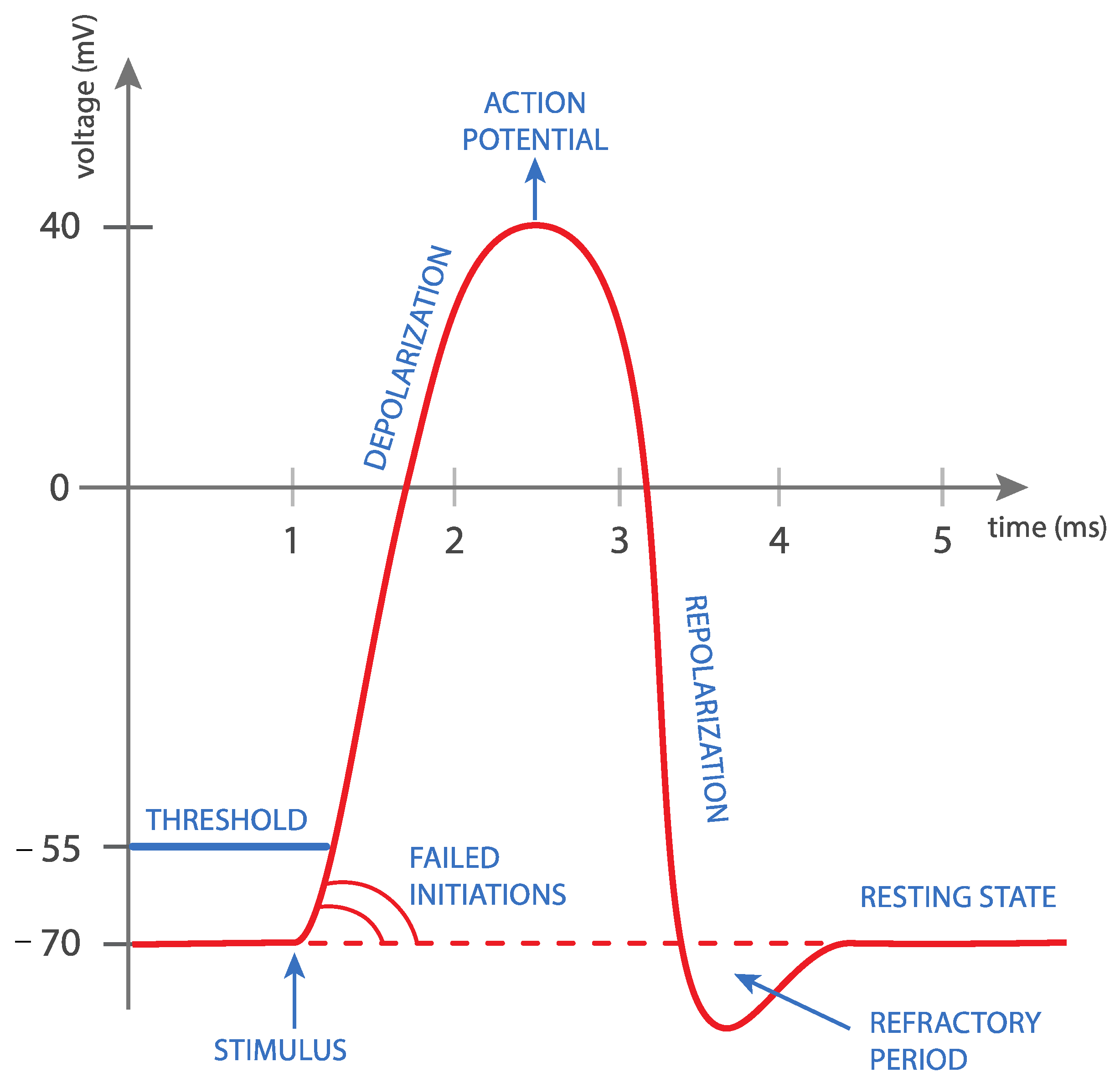 Medicina 59 01286 g001