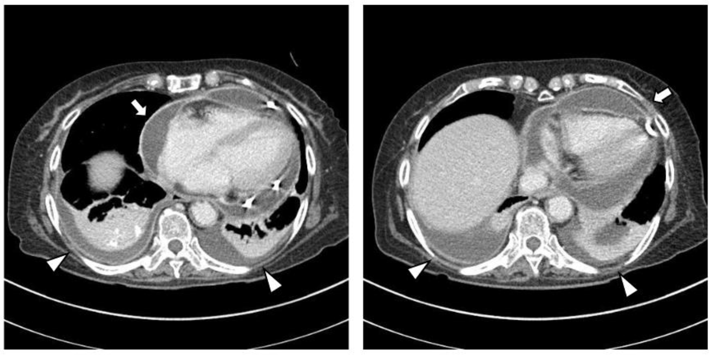 Medicina 59 01288 g002 Medicina 59 01288 g002