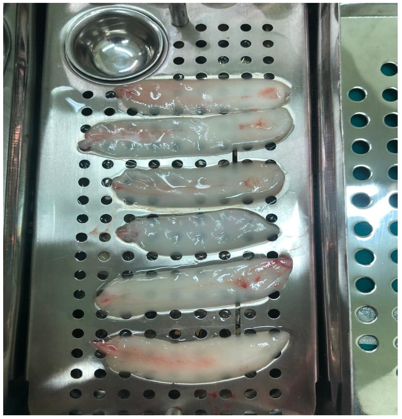 Medicina 59 01292 g003