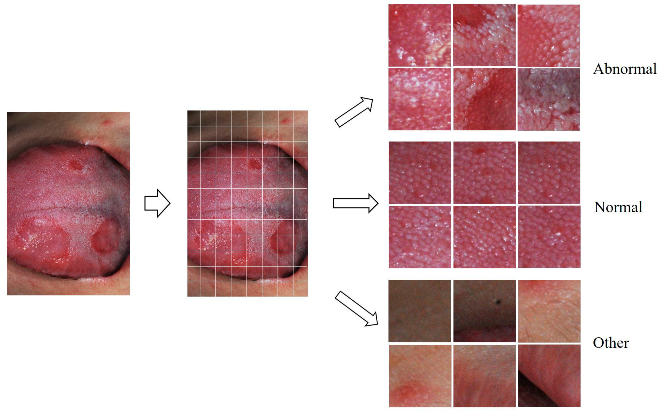 Medicina 59 01293 g001 Medicina 59 01293 g001