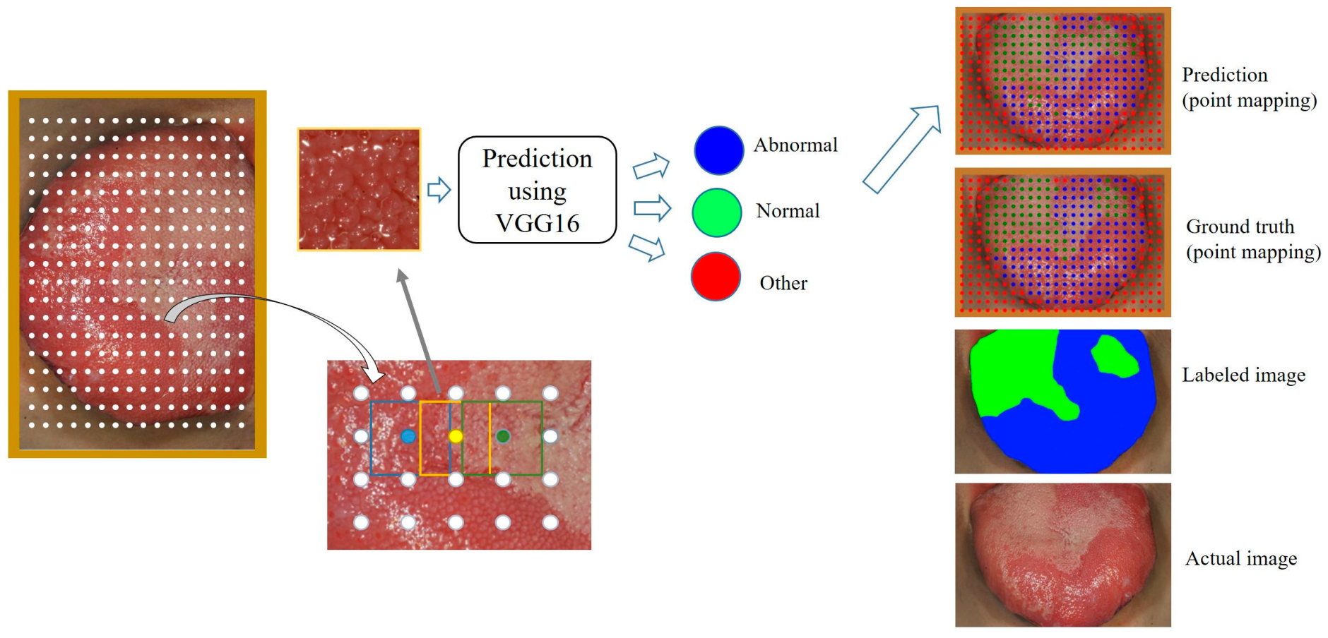 Medicina 59 01293 g004 Medicina 59 01293 g004
