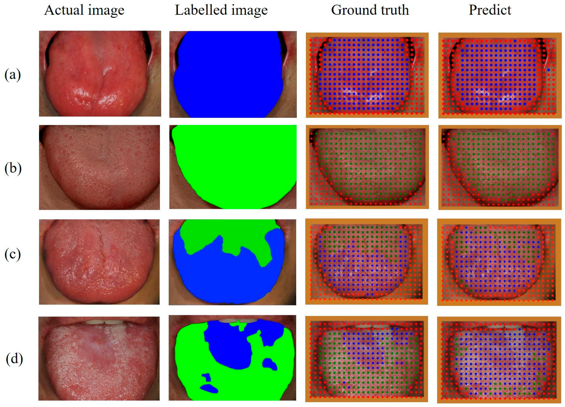 Medicina 59 01293 g006 Medicina 59 01293 g006