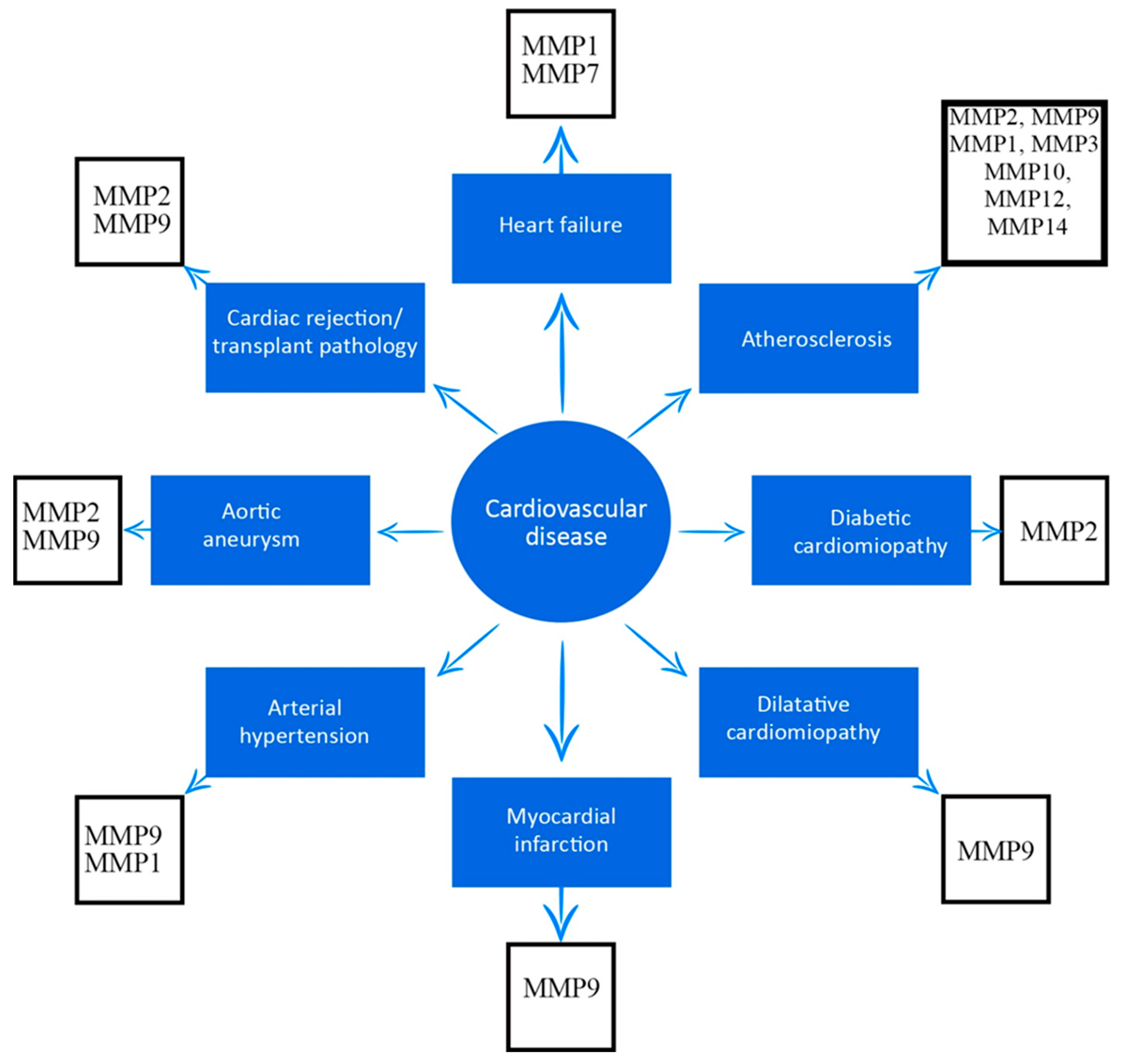 Medicina 59 01295 g001 Medicina 59 01295 g001