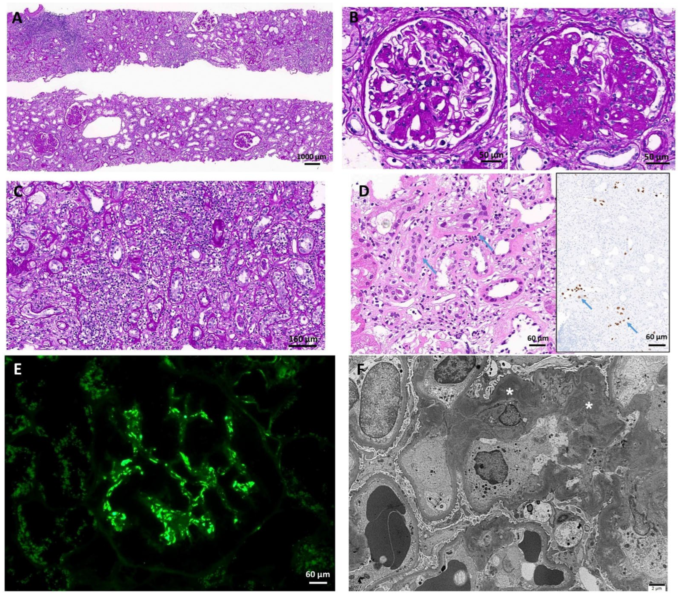 Medicina 59 01308 g004
