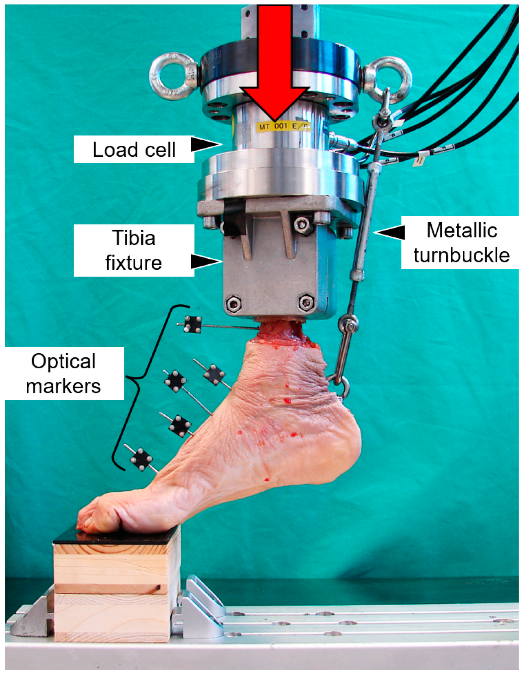 Medicina 59 01310 g003