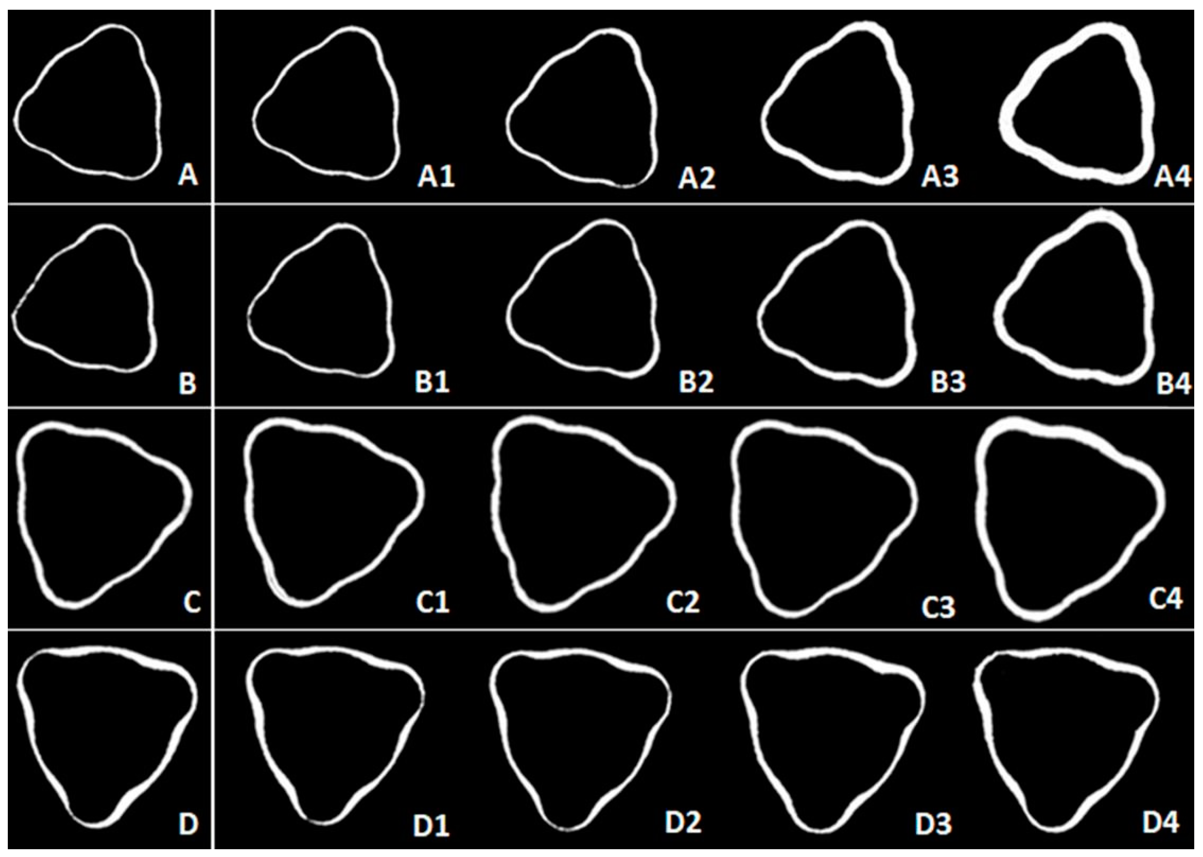 Medicina 59 01311 g004 Medicina 59 01311 g004