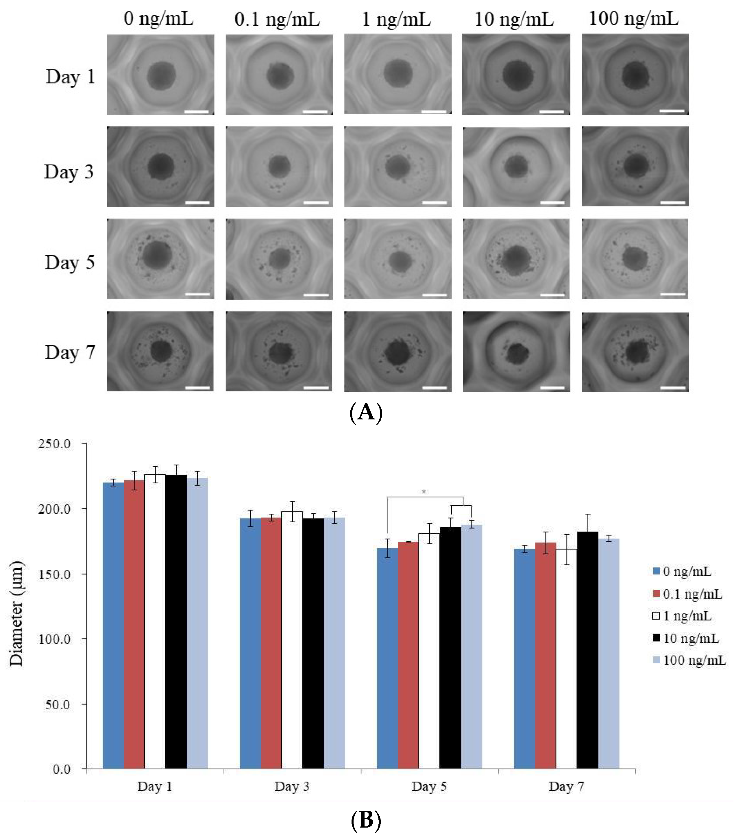 Medicina 59 01315 g002