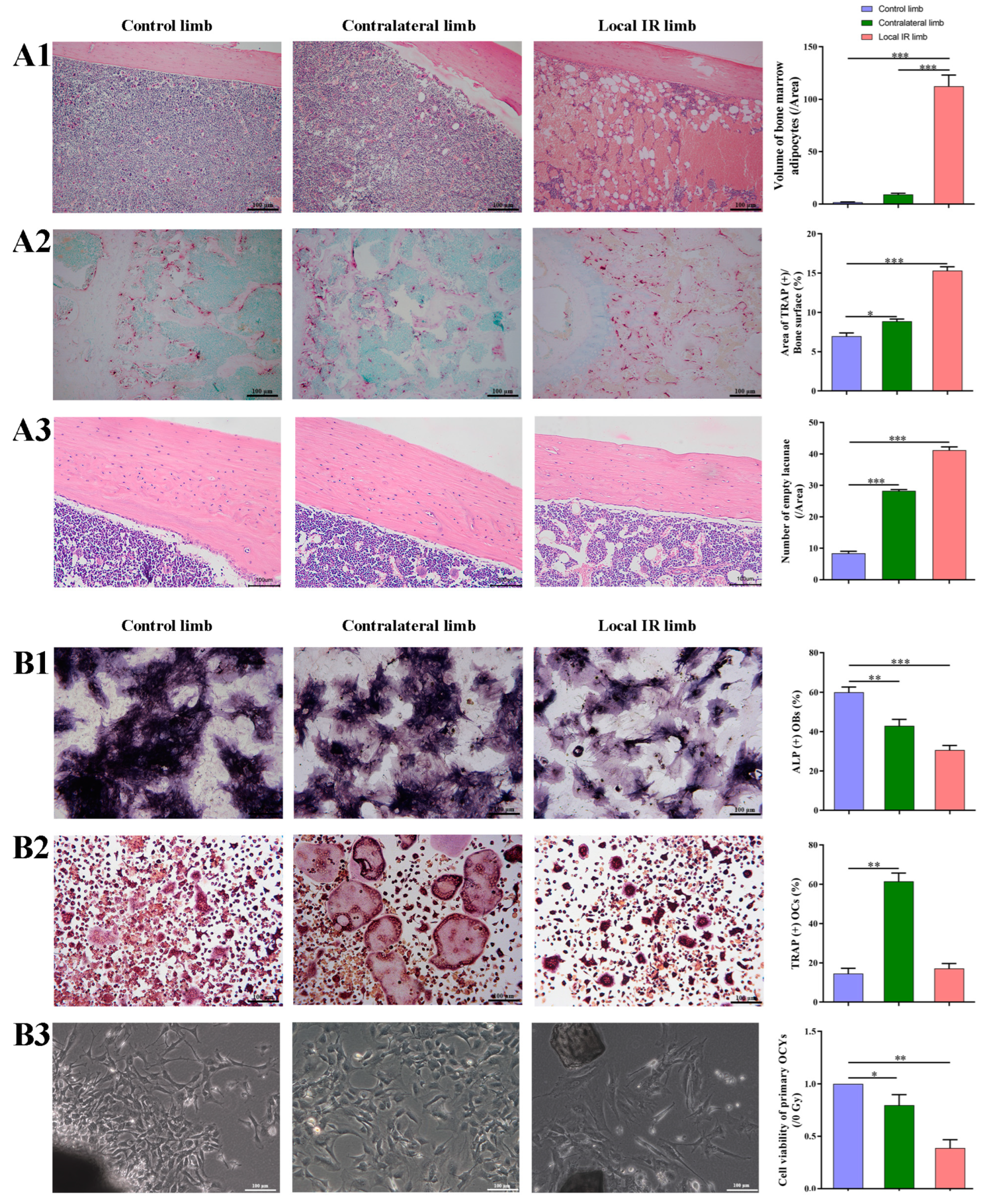 Medicina 59 01316 g001
