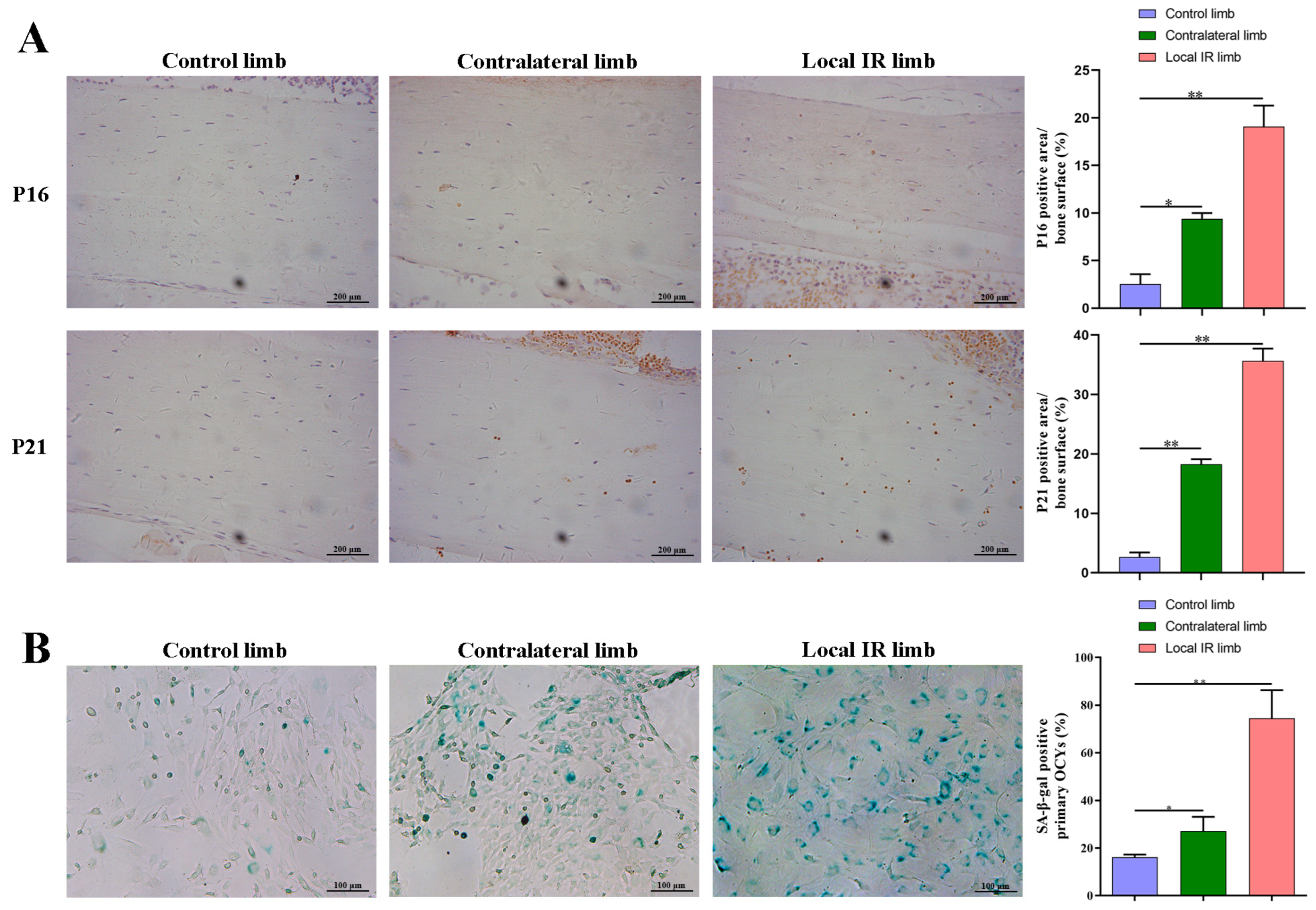 Medicina 59 01316 g002
