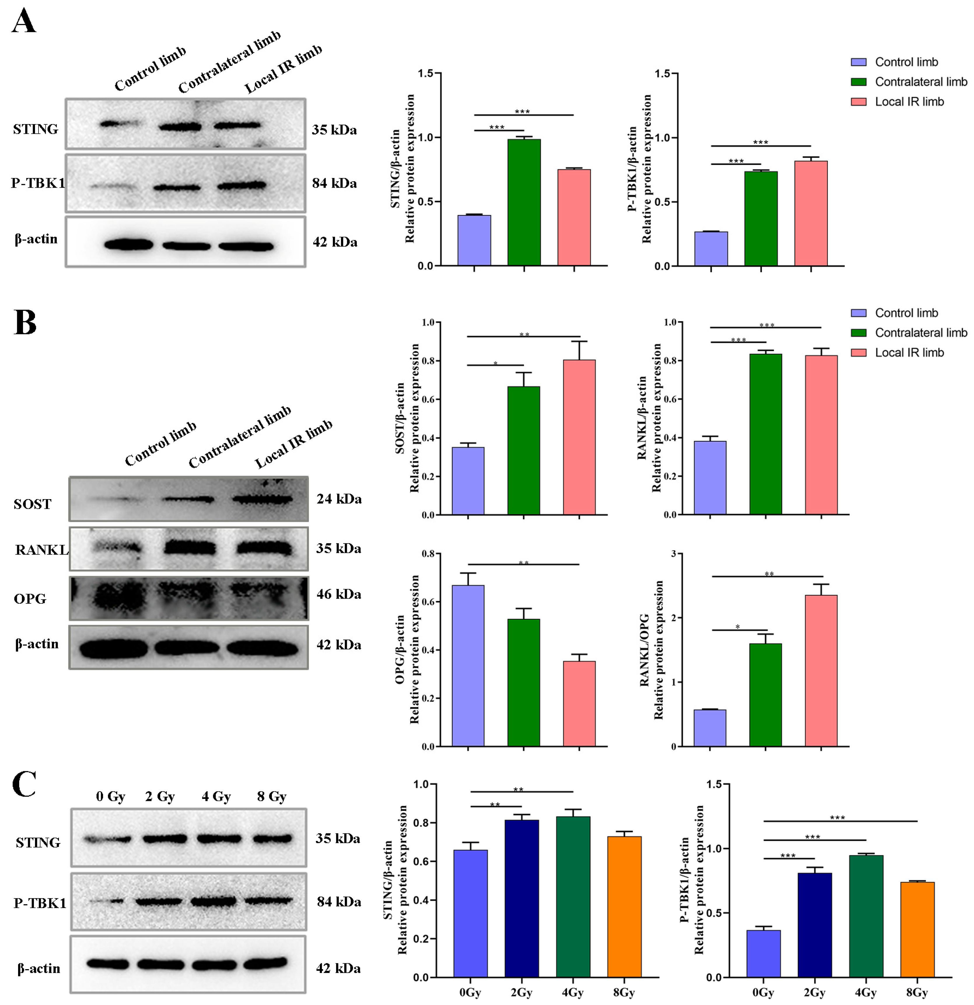 Medicina 59 01316 g004