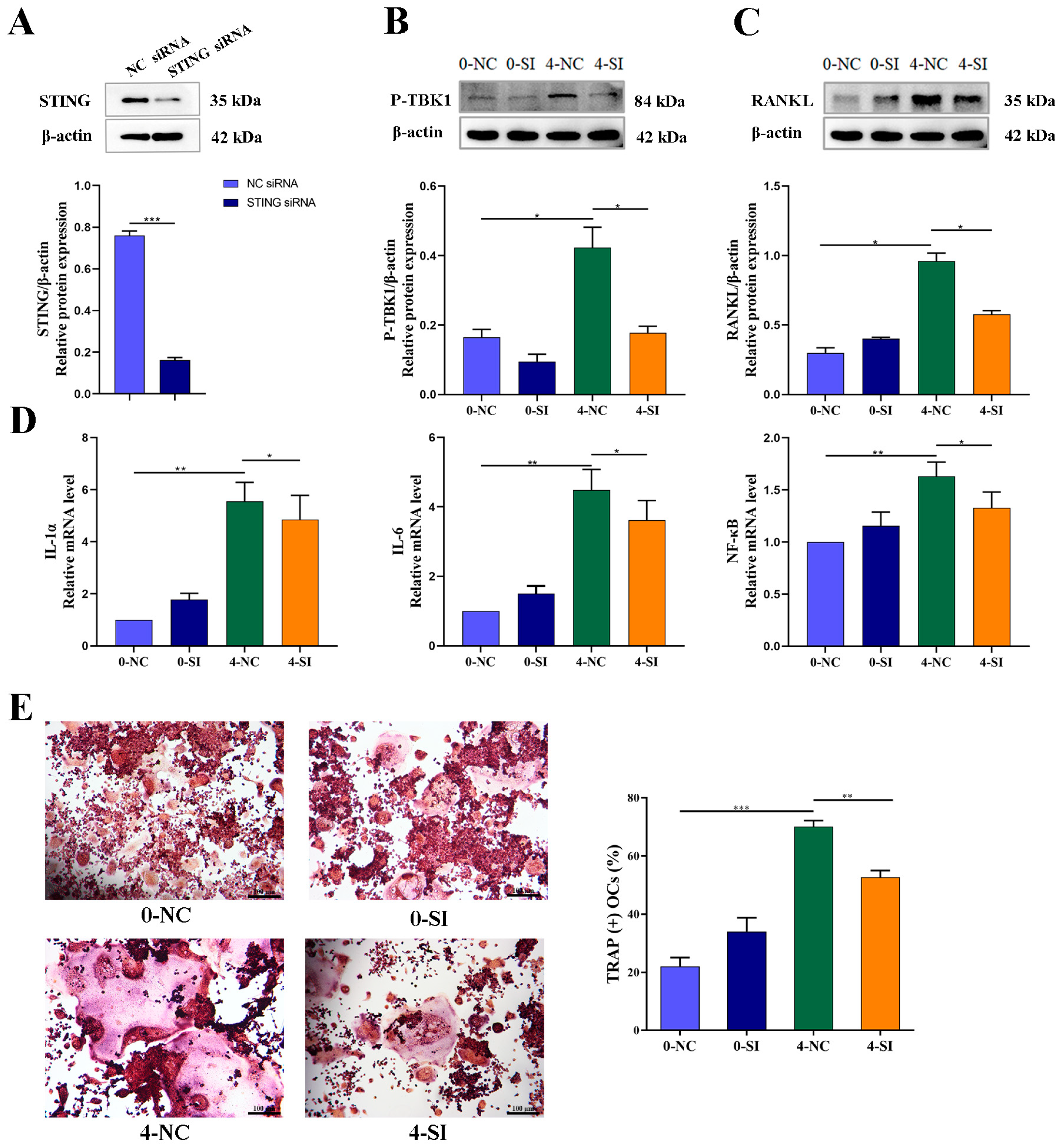 Medicina 59 01316 g005