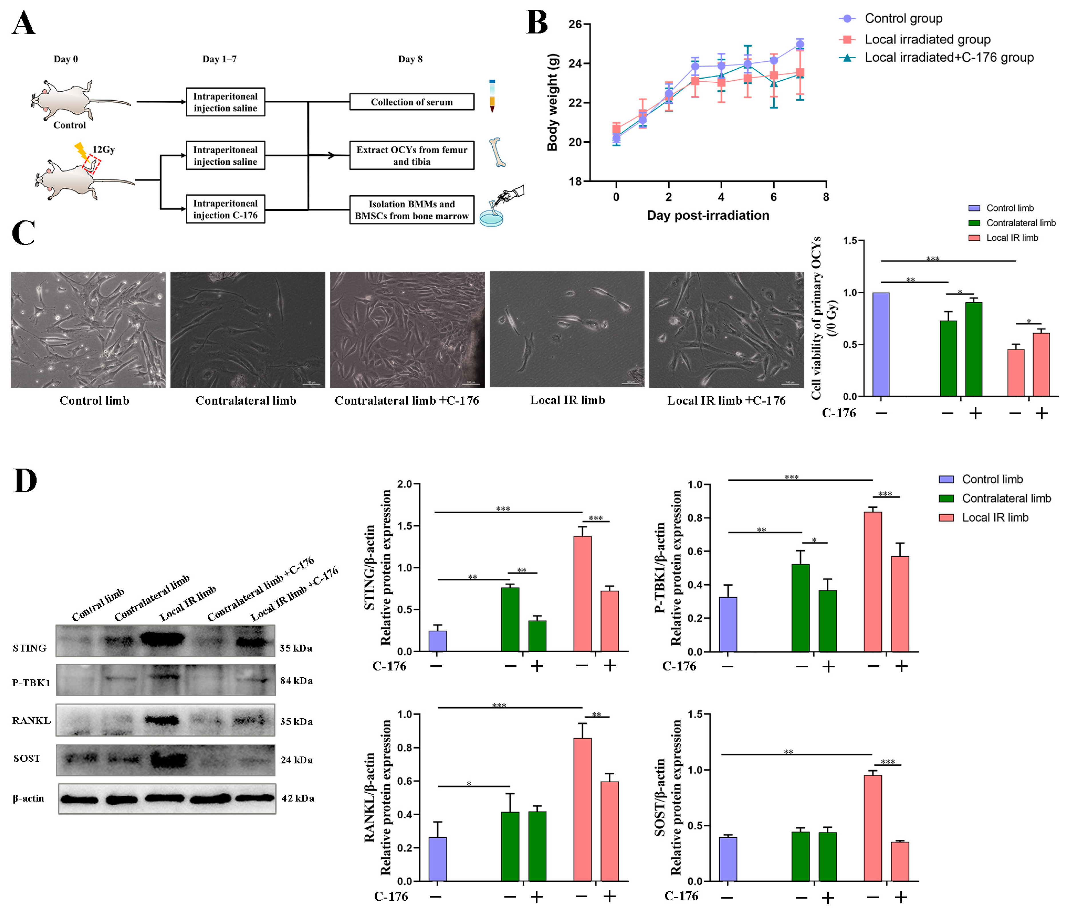 Medicina 59 01316 g006