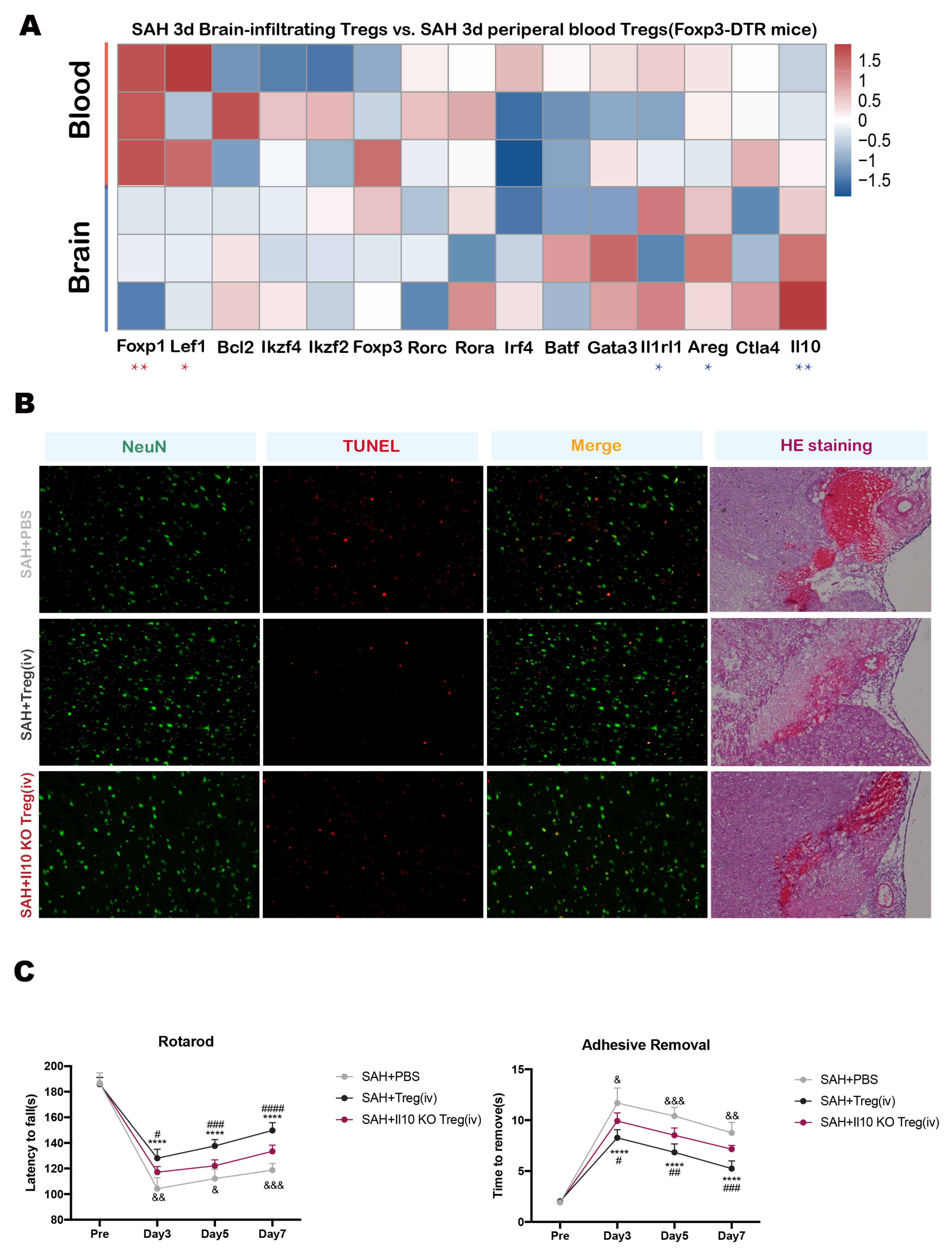 Medicina 59 01317 g005