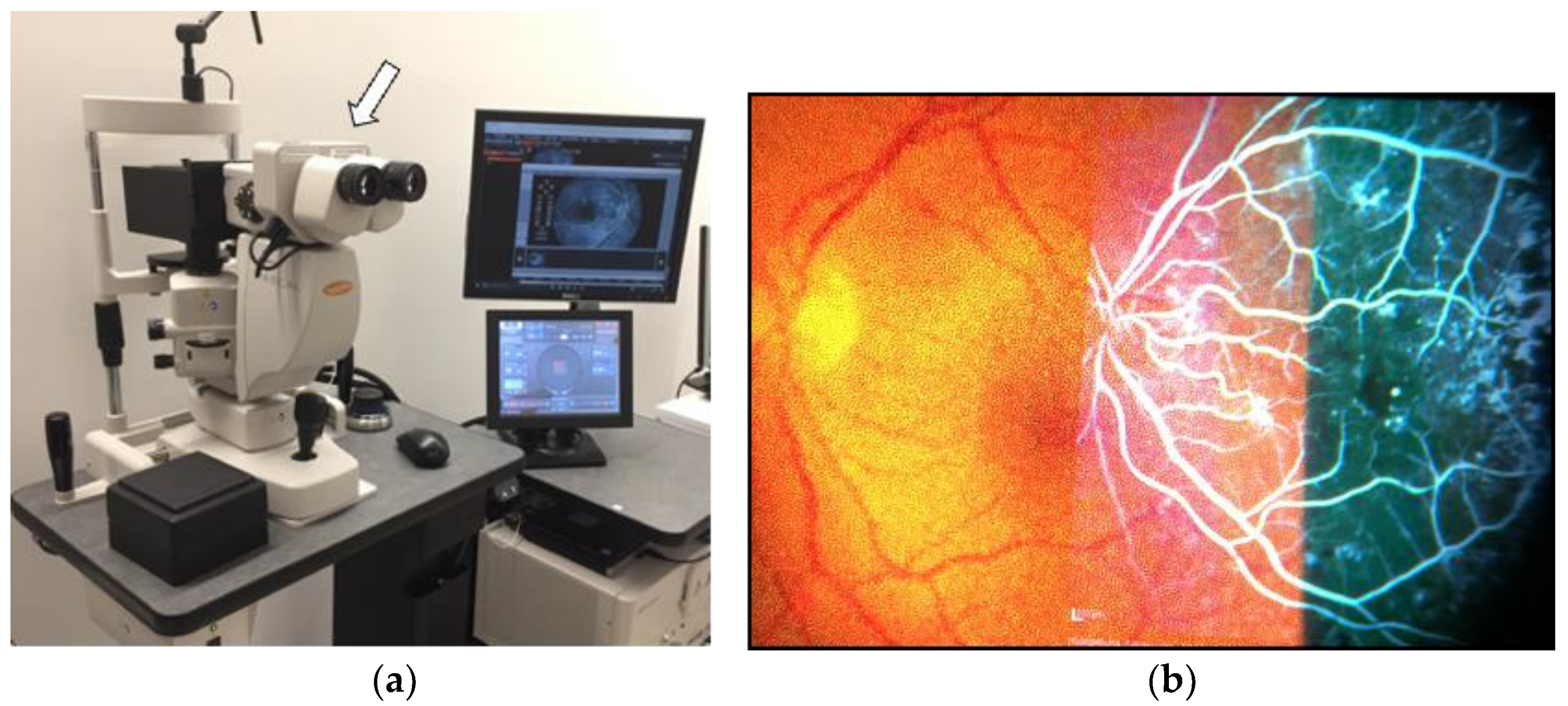 Medicina 59 01319 g005 Medicina 59 01319 g005