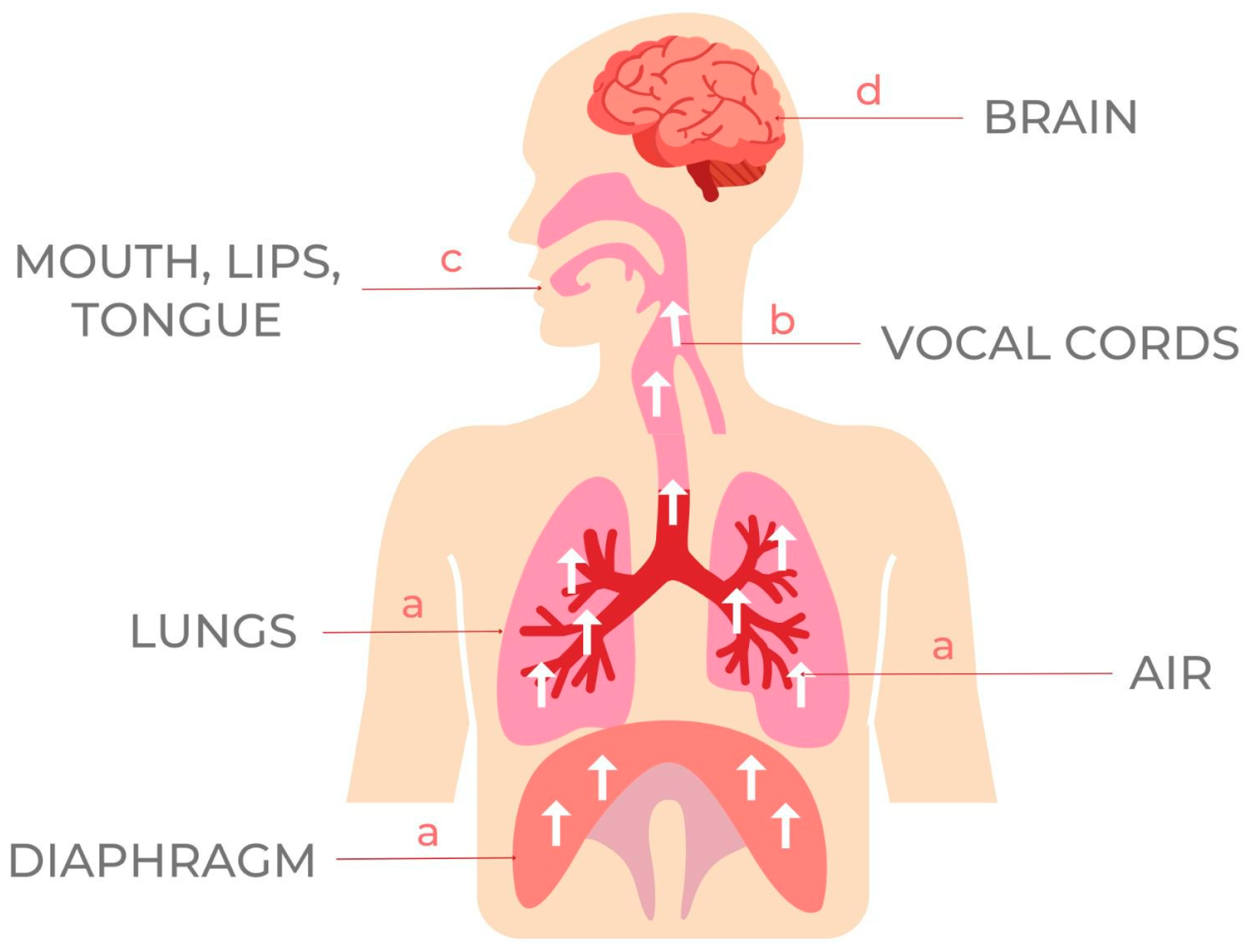 Medicina 59 01322 g001