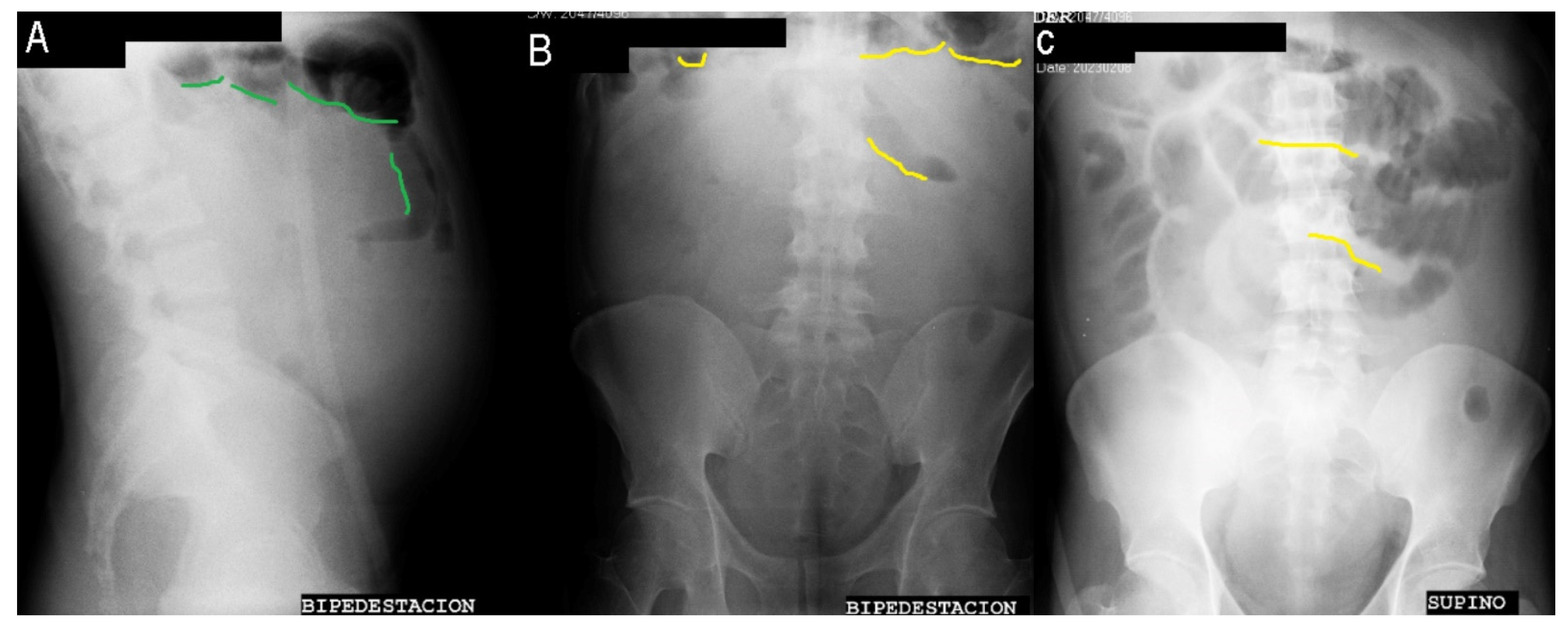 Medicina 59 01325 g002