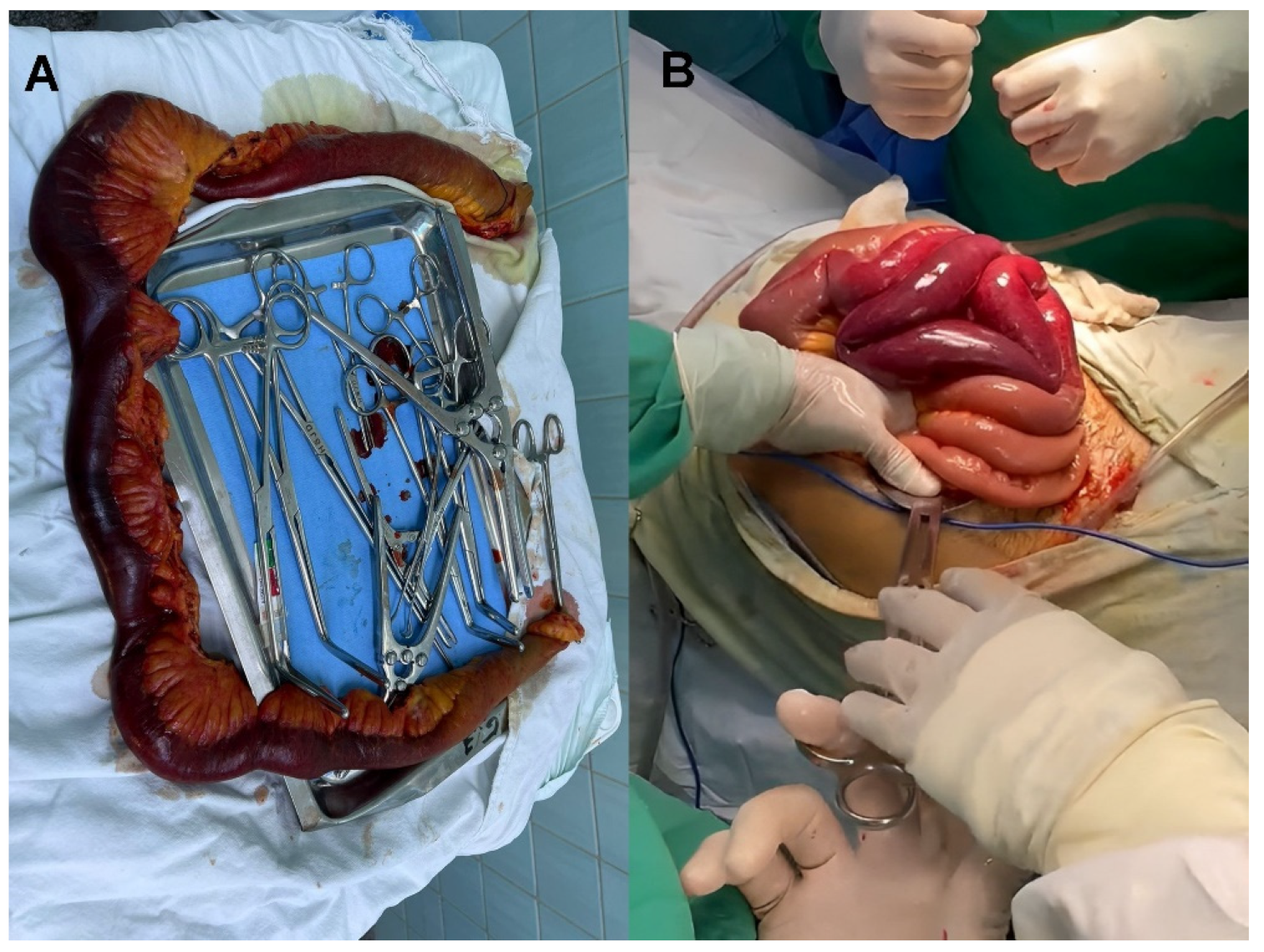 Medicina 59 01325 g003