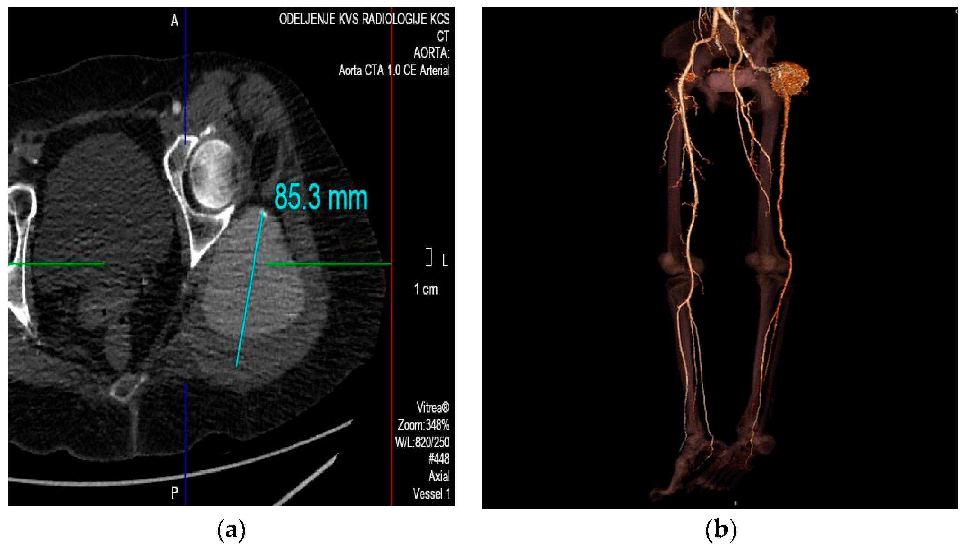 Medicina 59 01328 g001 Medicina 59 01328 g001
