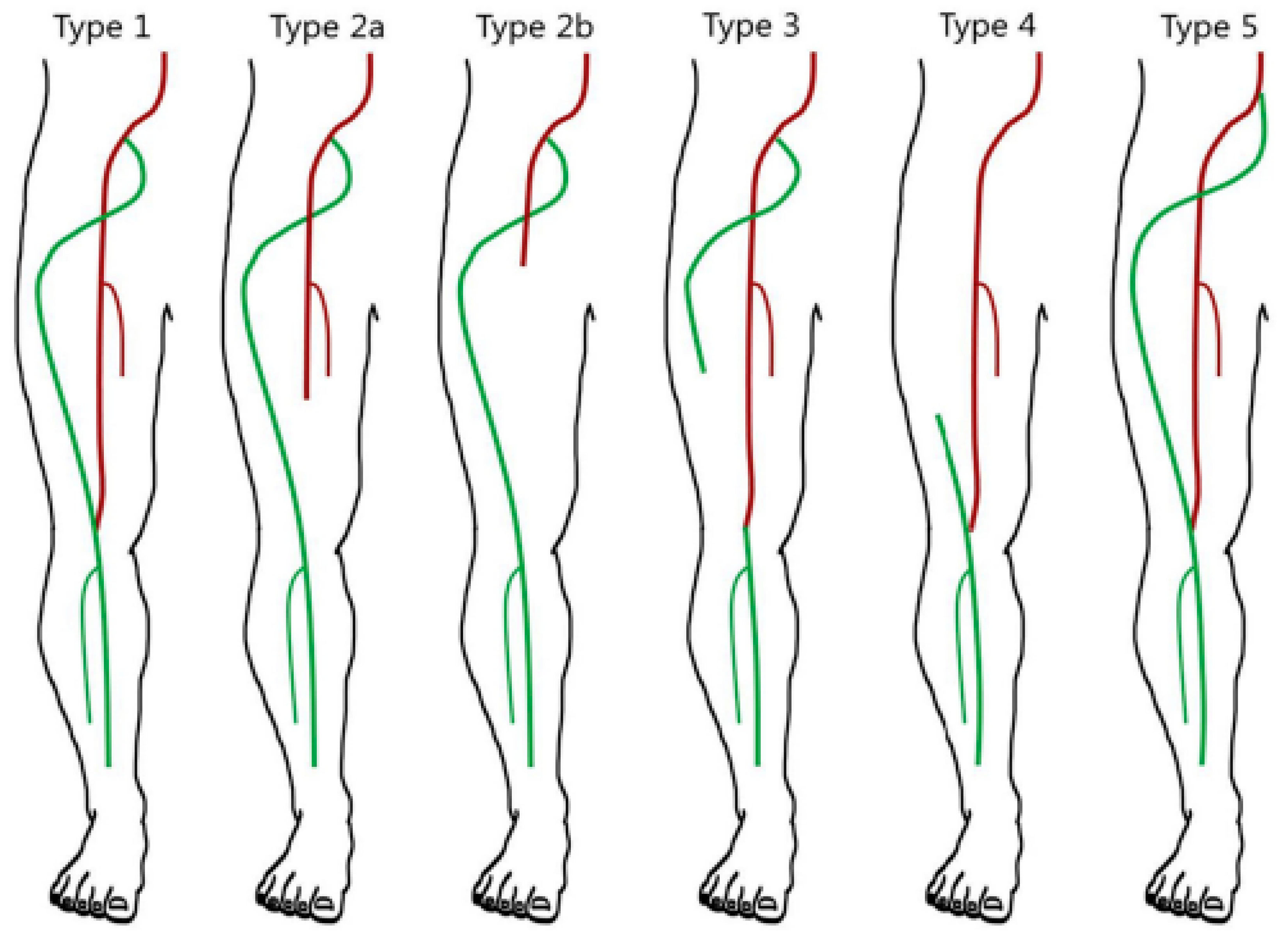 Medicina 59 01328 g003 Medicina 59 01328 g003