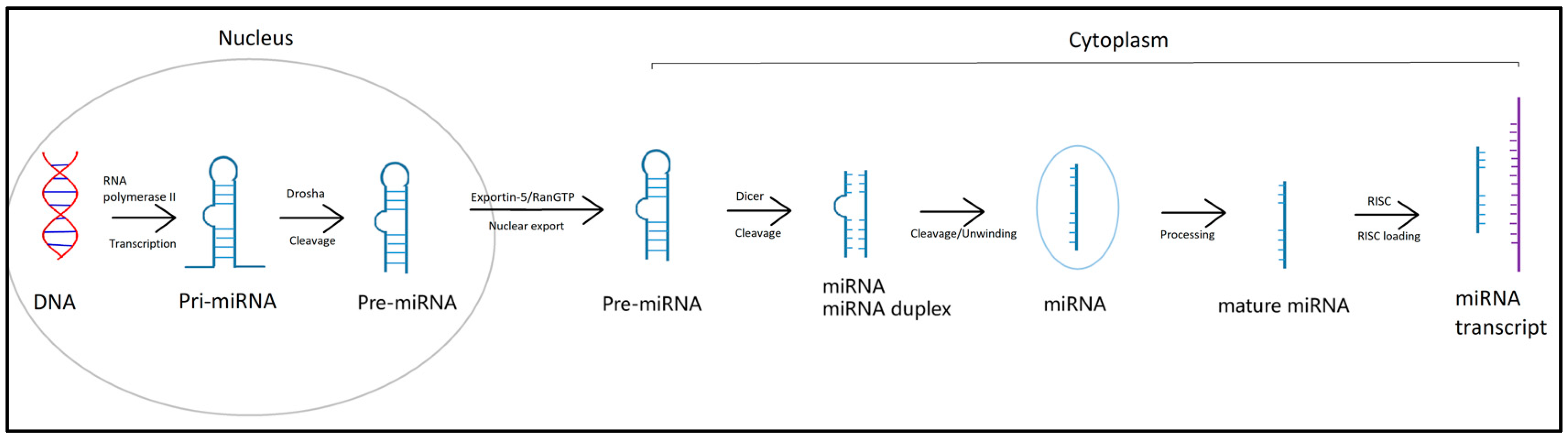 Medicina 59 01329 g002