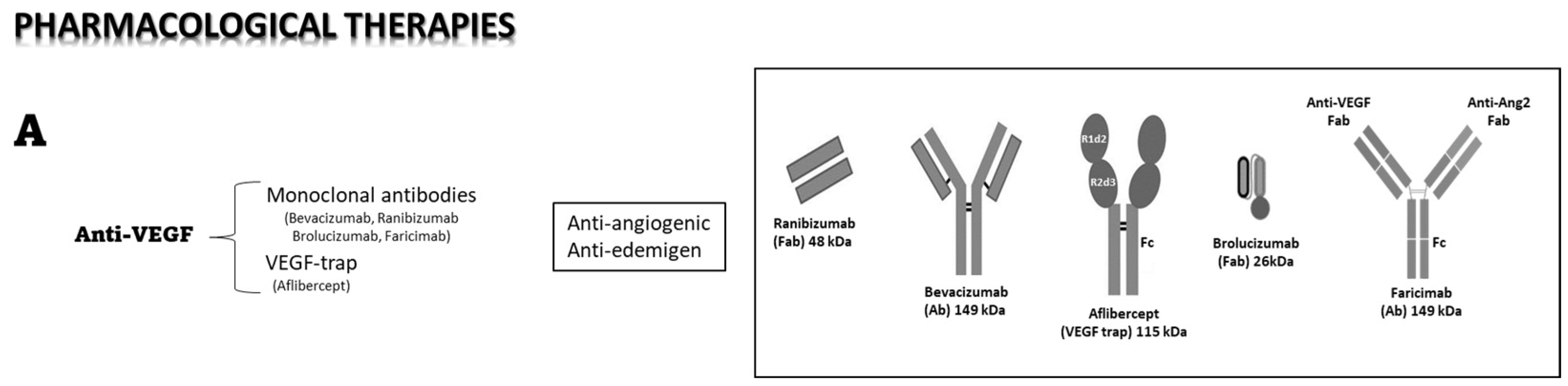 Medicina 59 01334 g002a