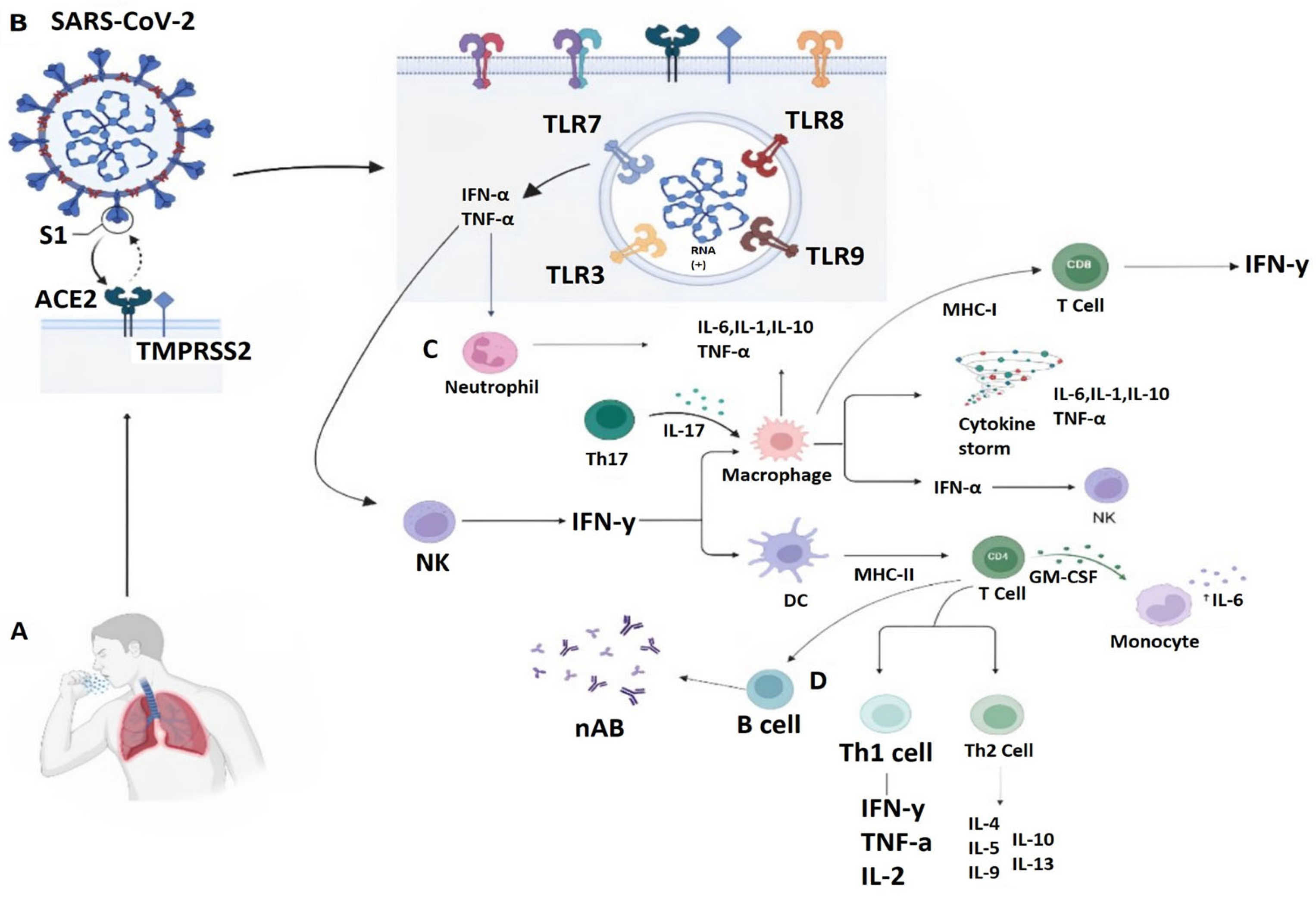 Medicina 59 01336 g001