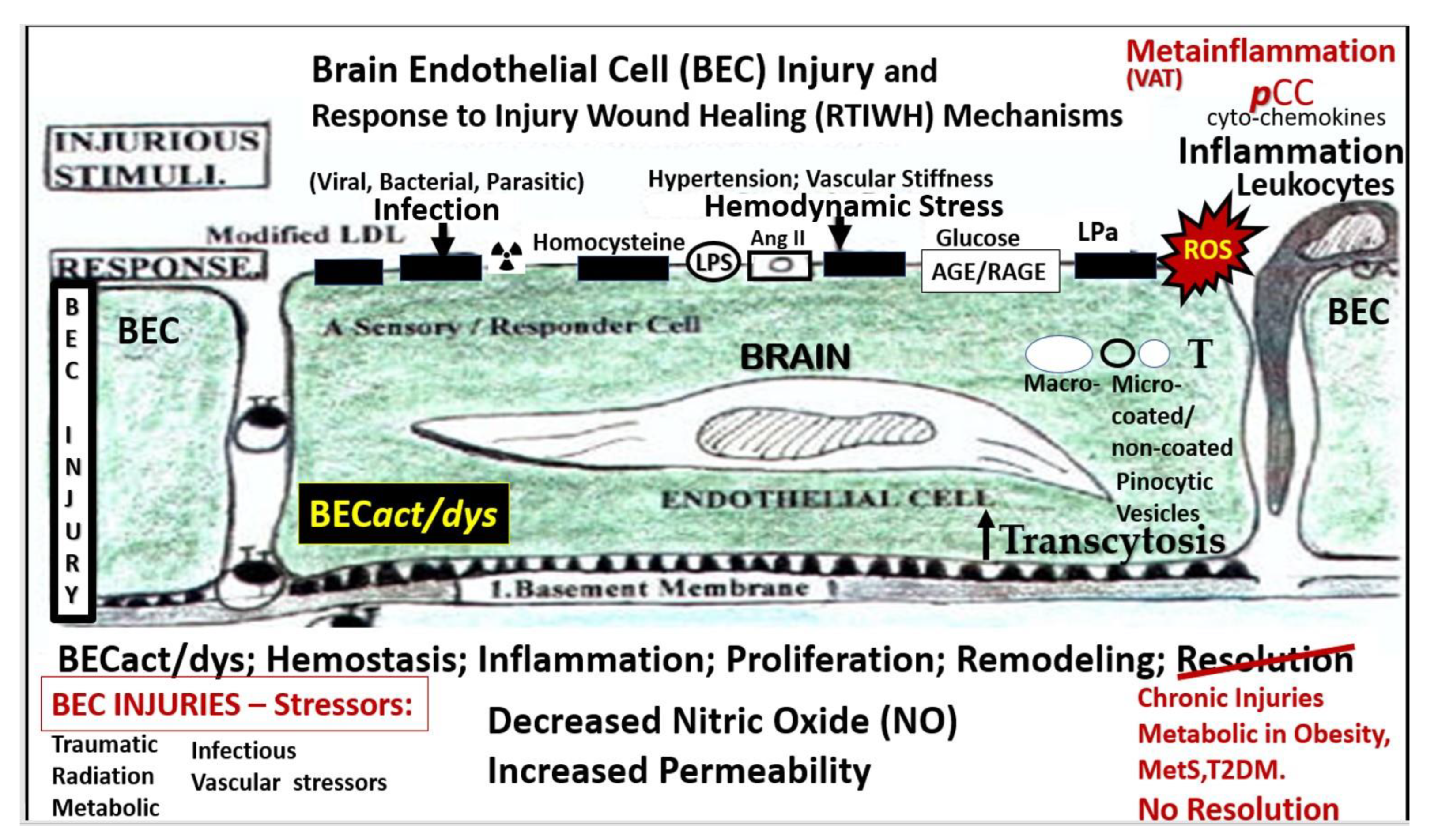 Medicina 59 01337 g001
