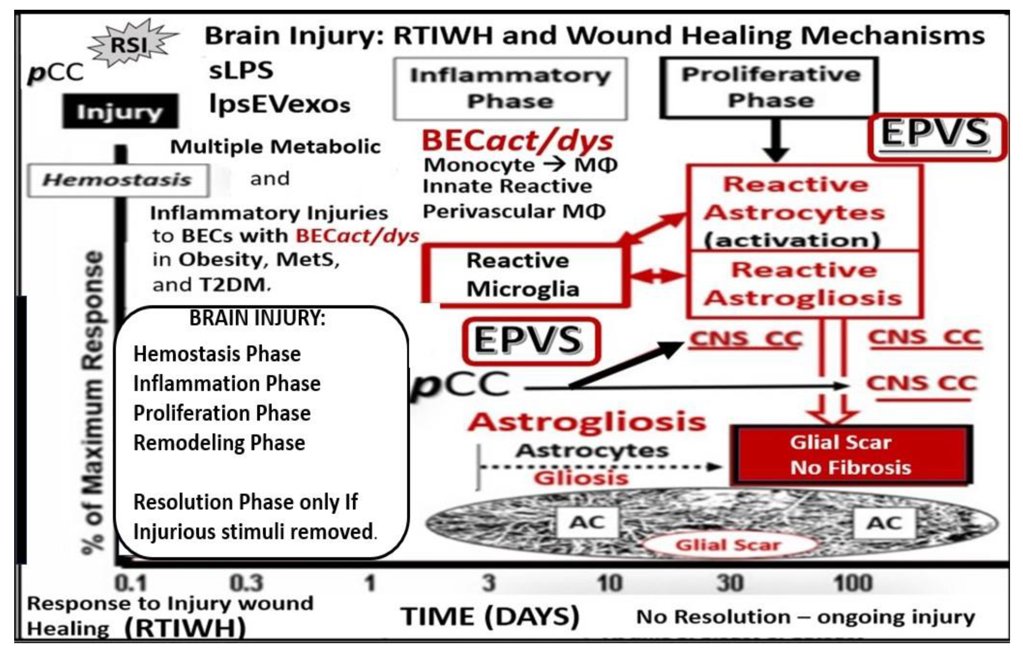 Medicina 59 01337 g002