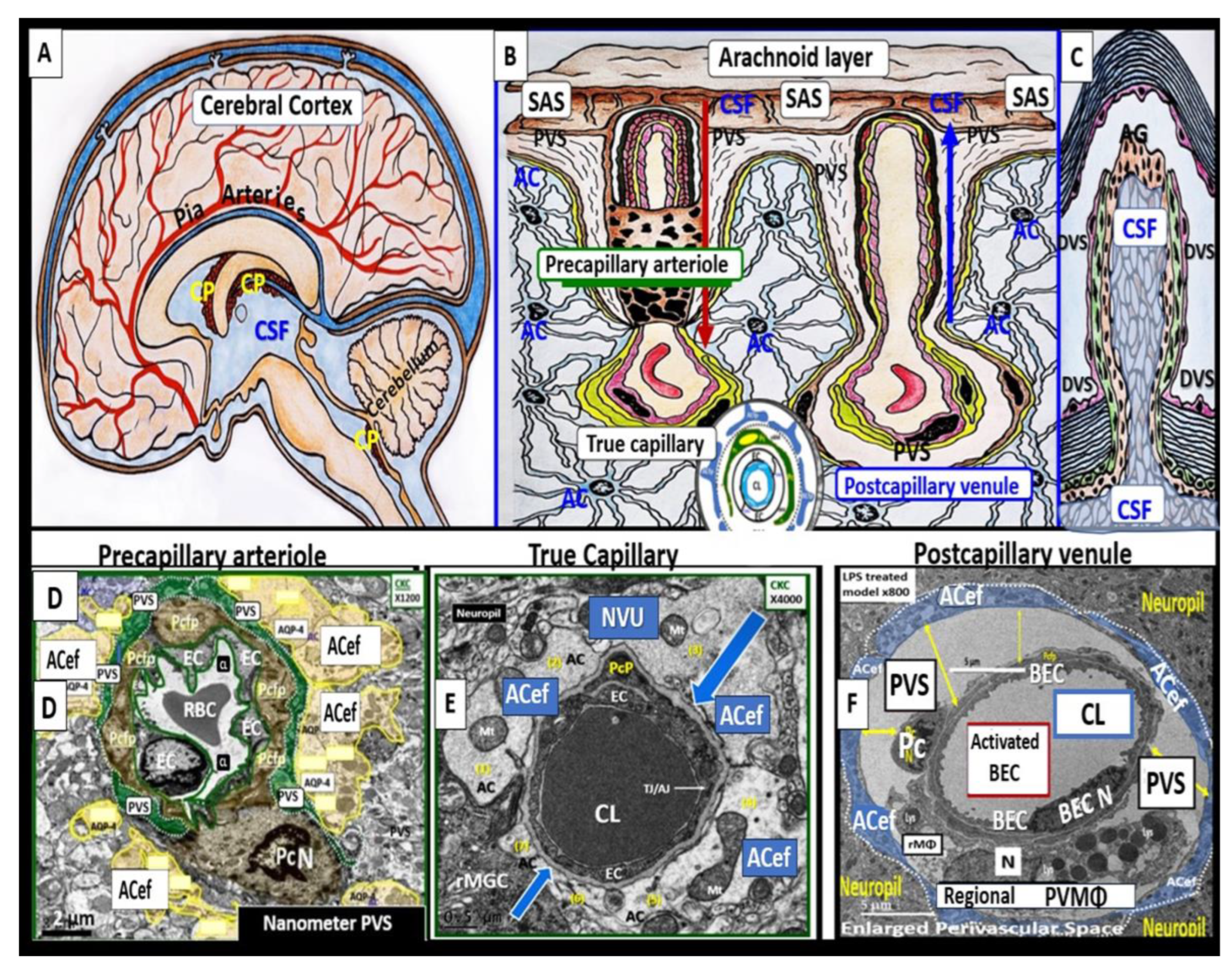 Medicina 59 01337 g003