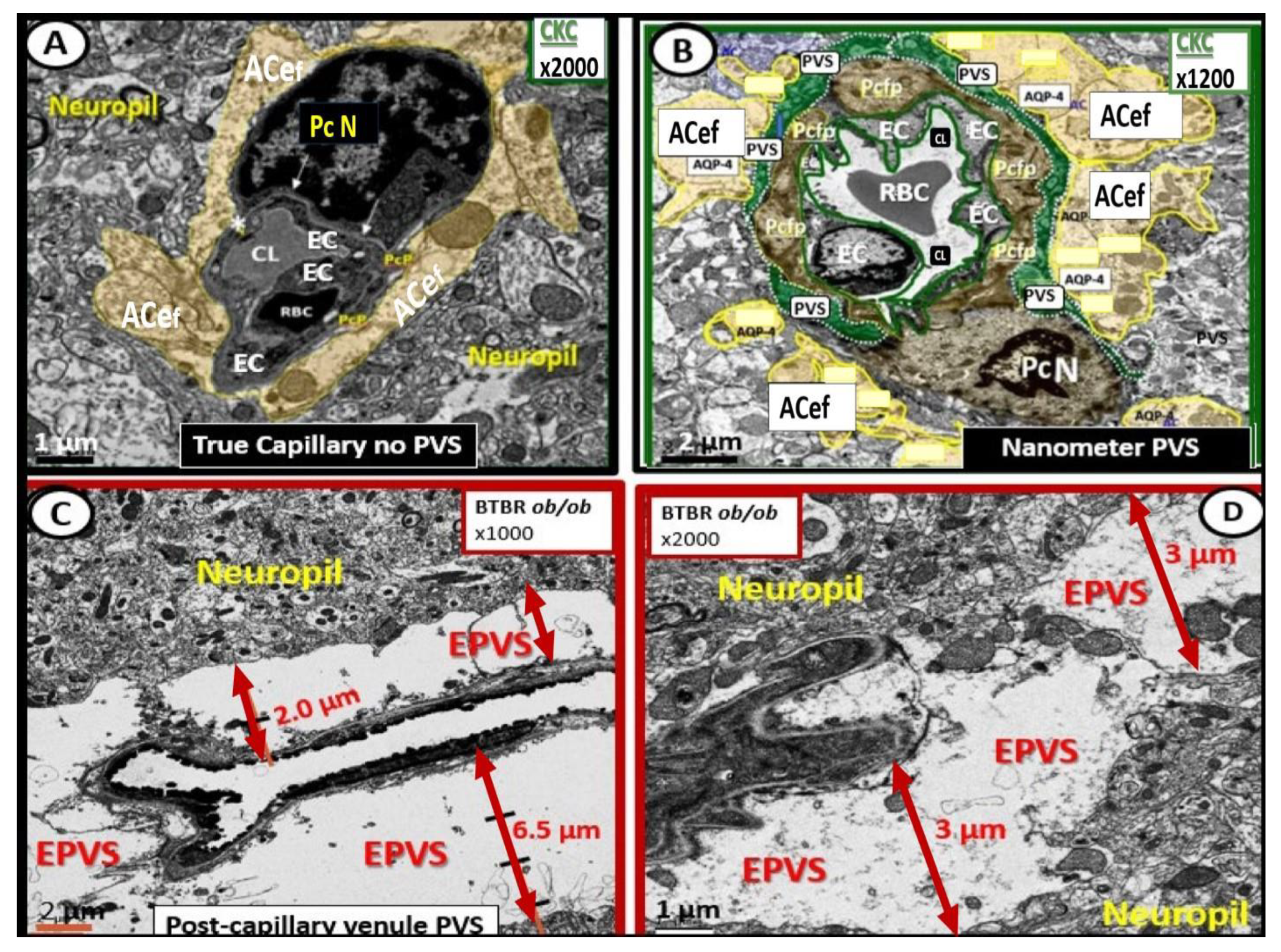 Medicina 59 01337 g004