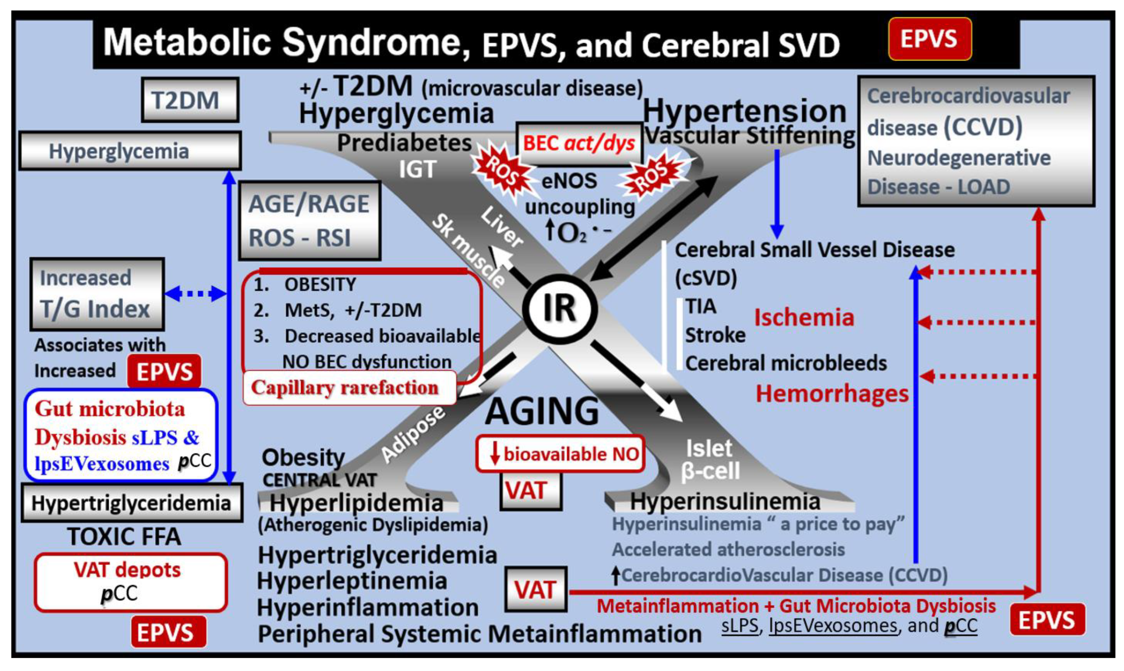 Medicina 59 01337 g005