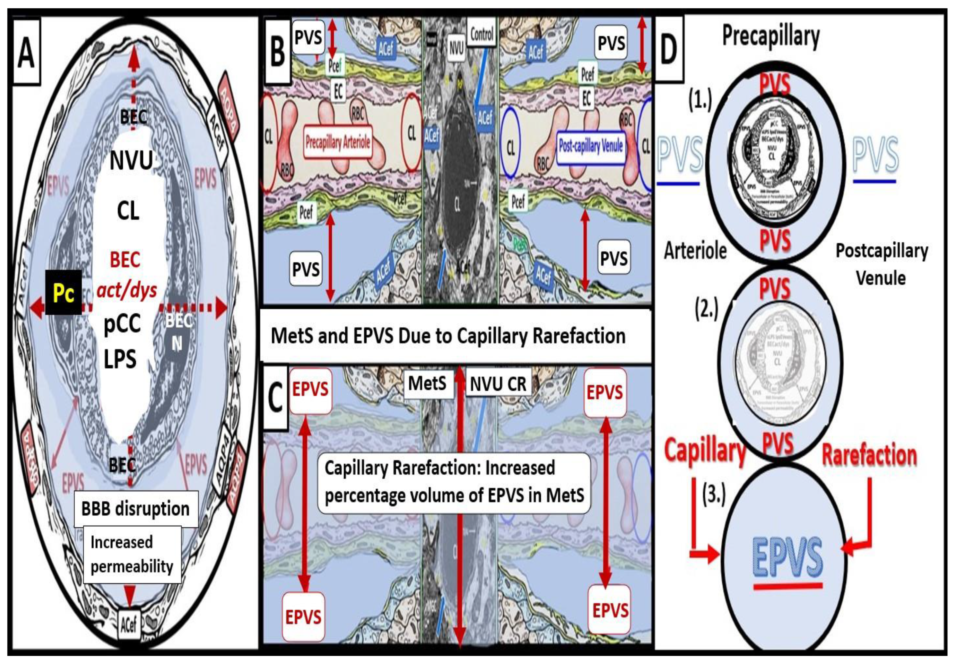 Medicina 59 01337 g006