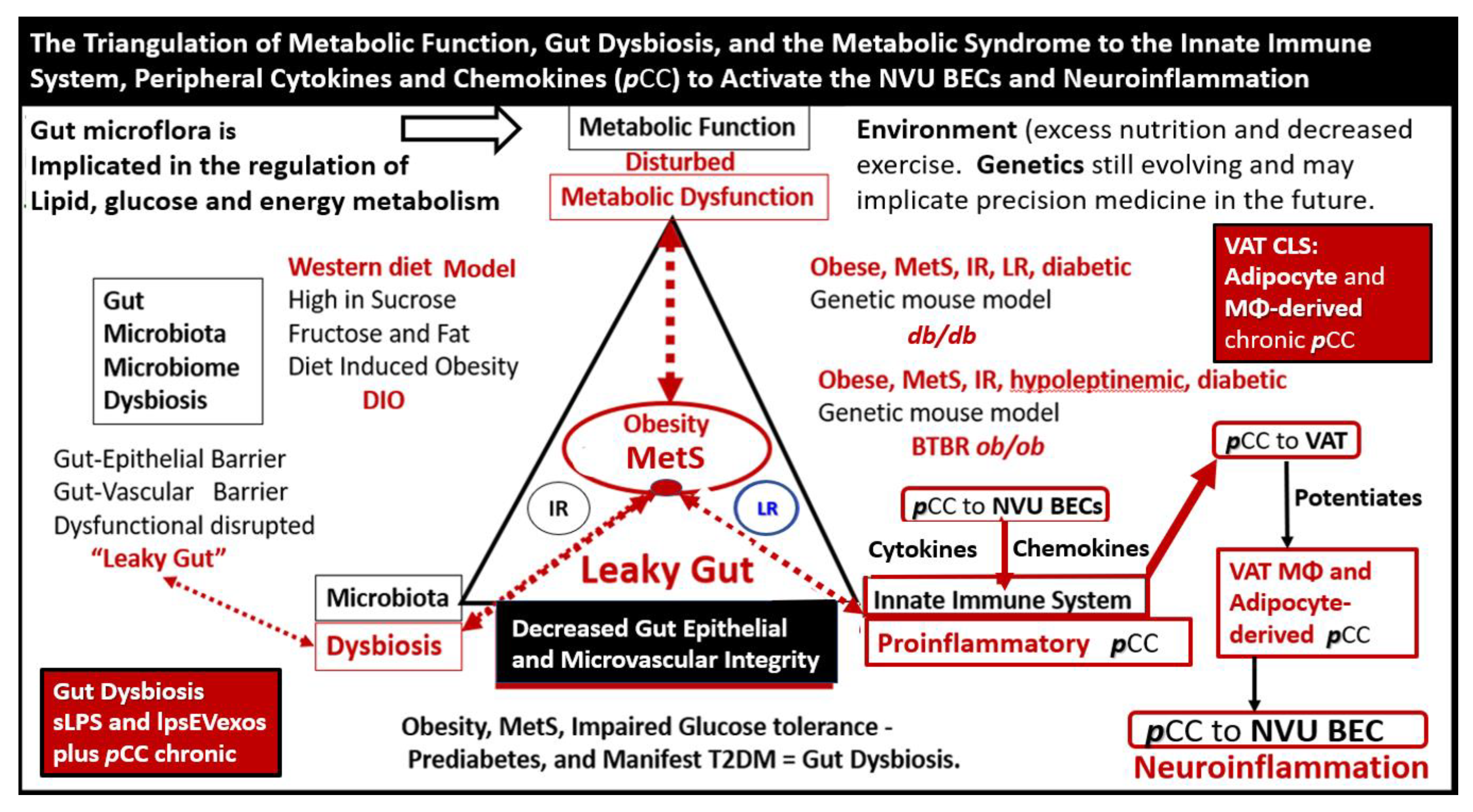 Medicina 59 01337 g007