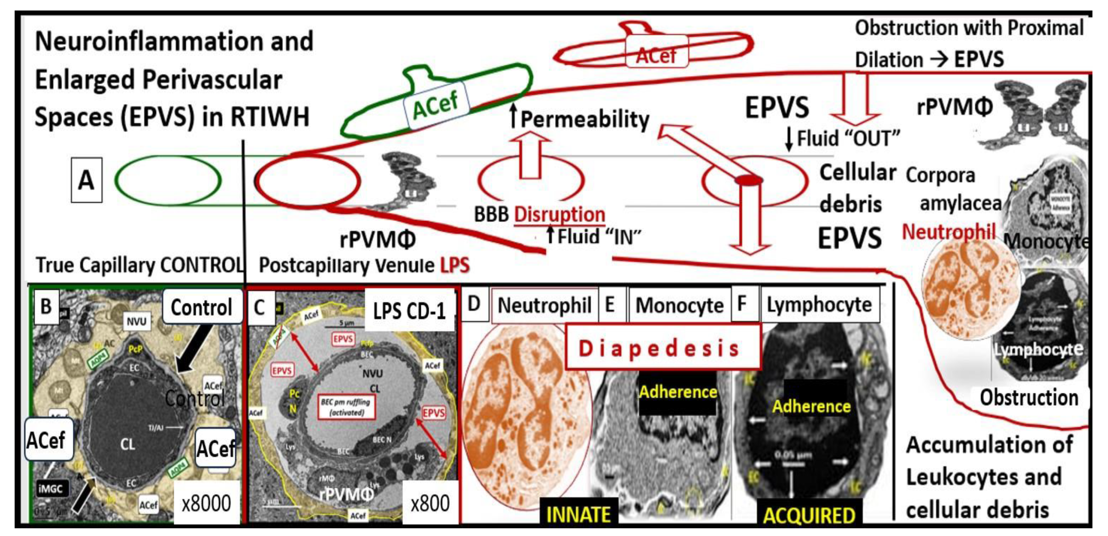 Medicina 59 01337 g010