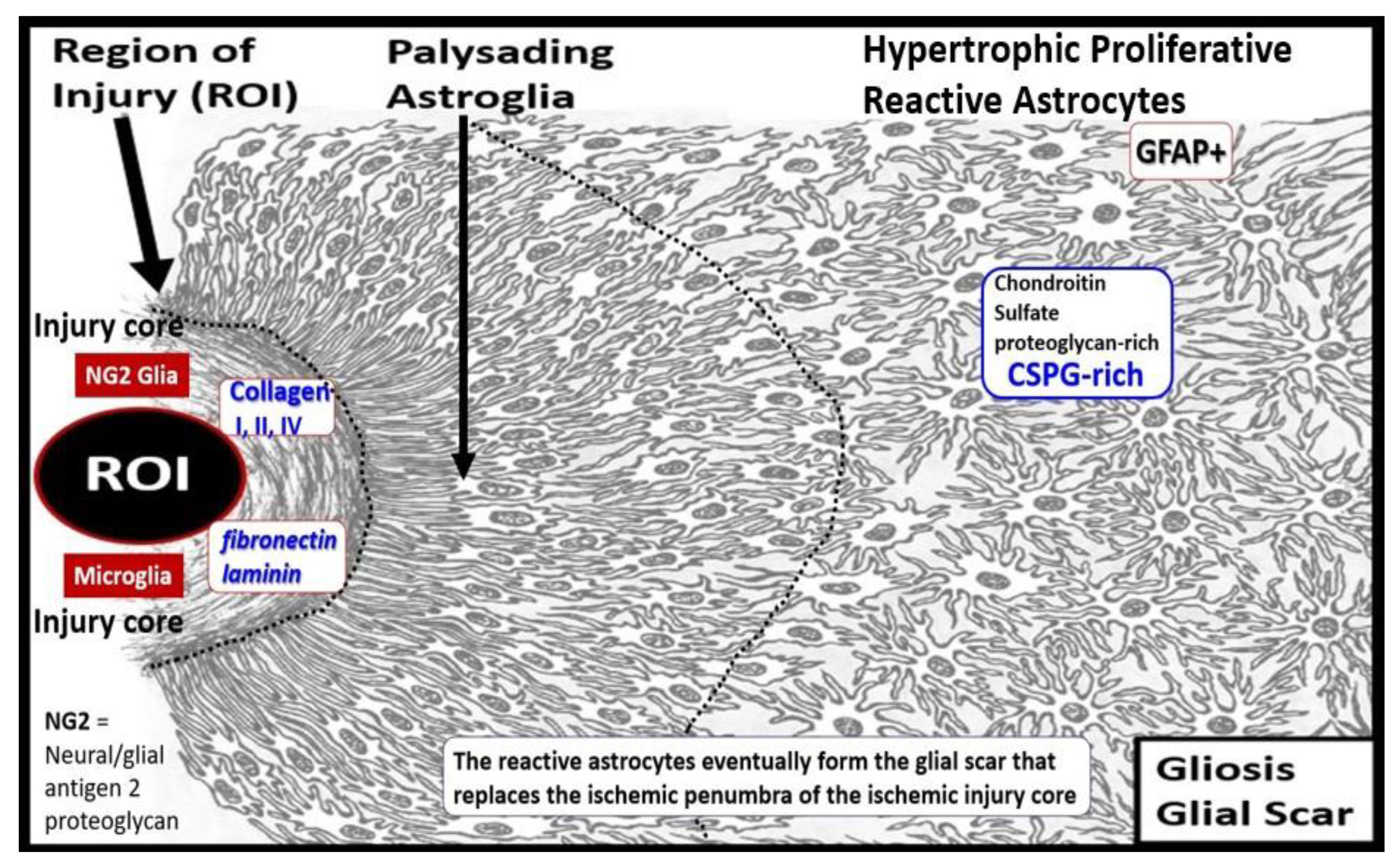 Medicina 59 01337 g012