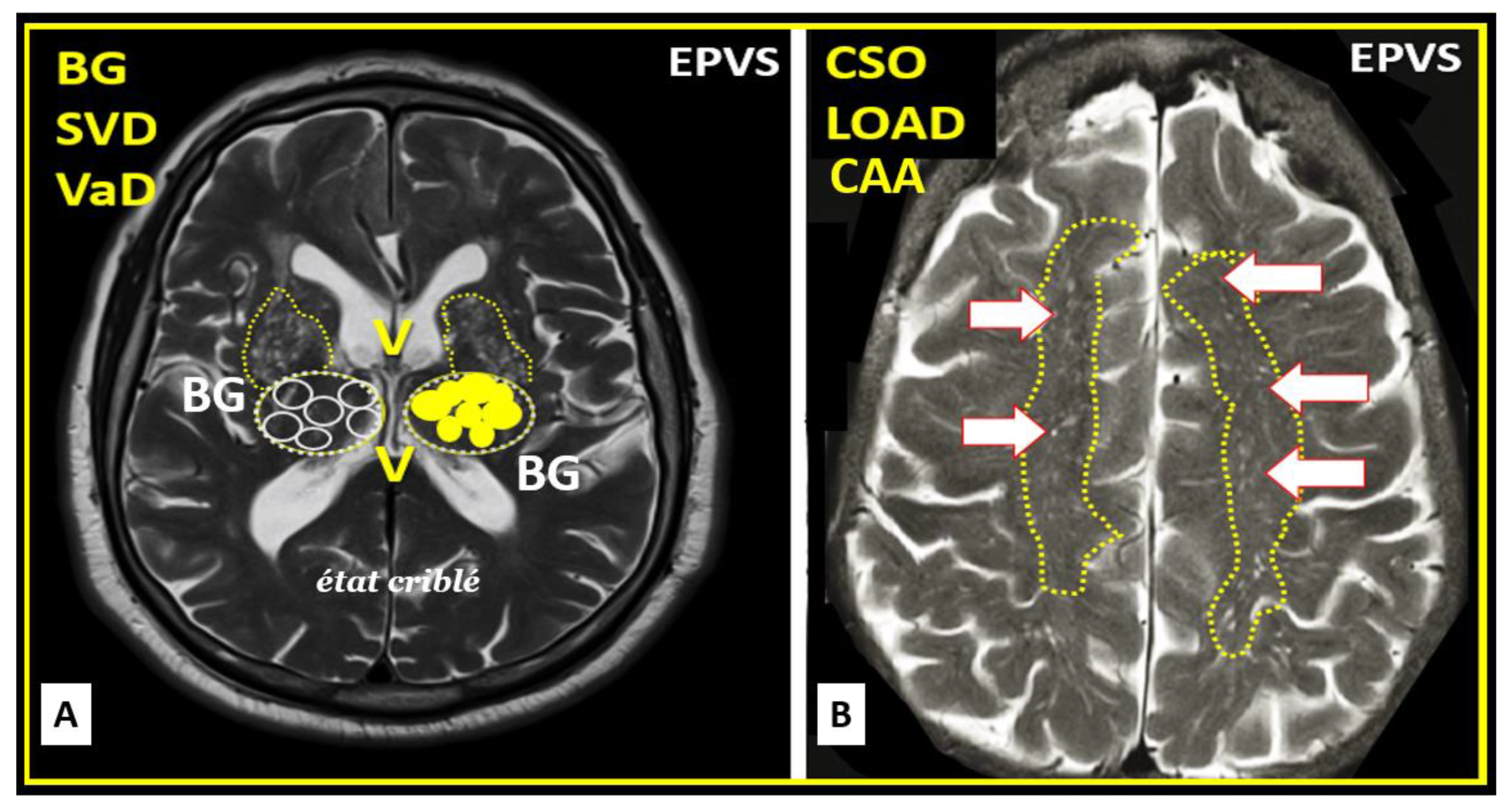 Medicina 59 01337 g014