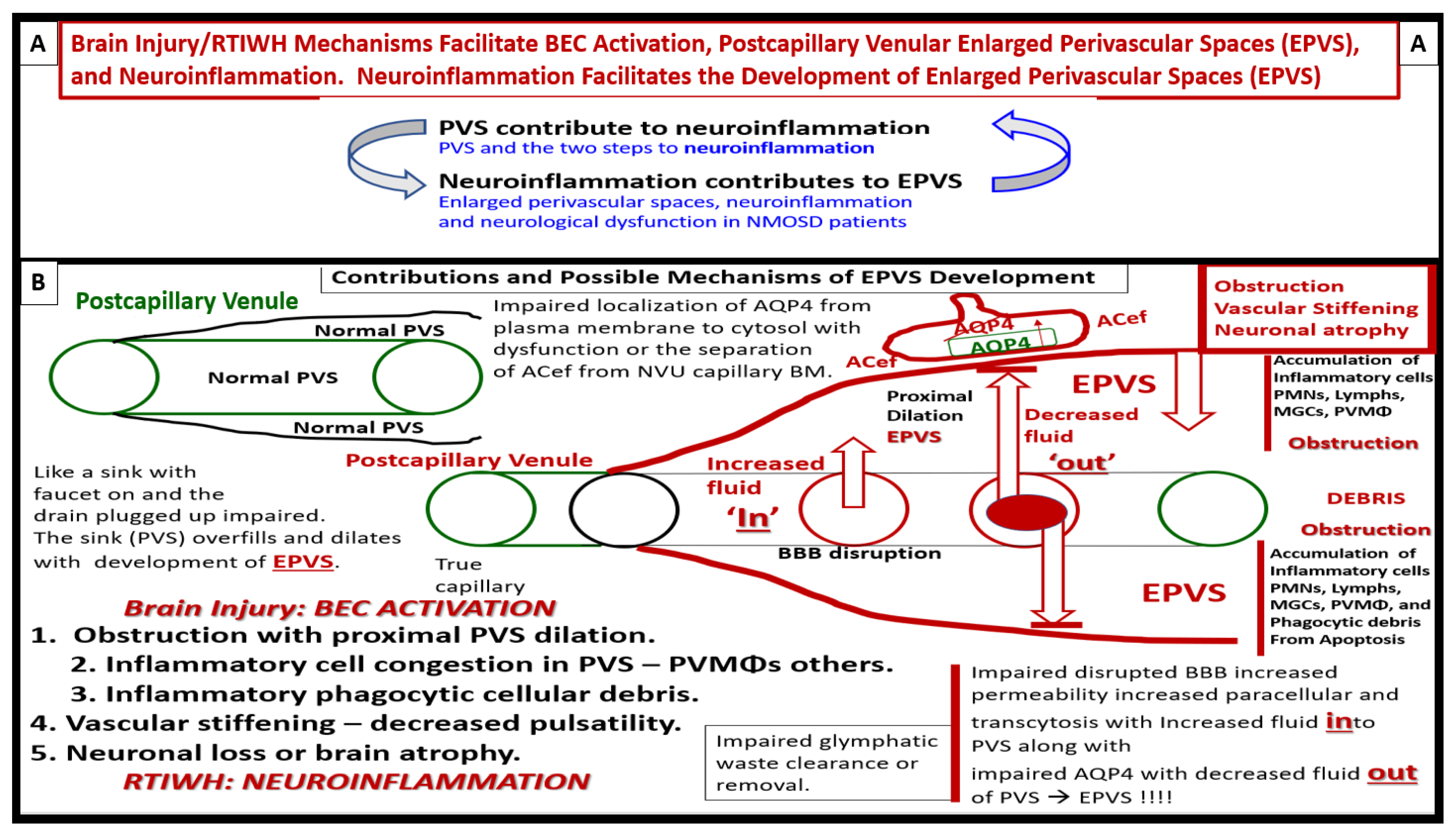 Medicina 59 01337 g015