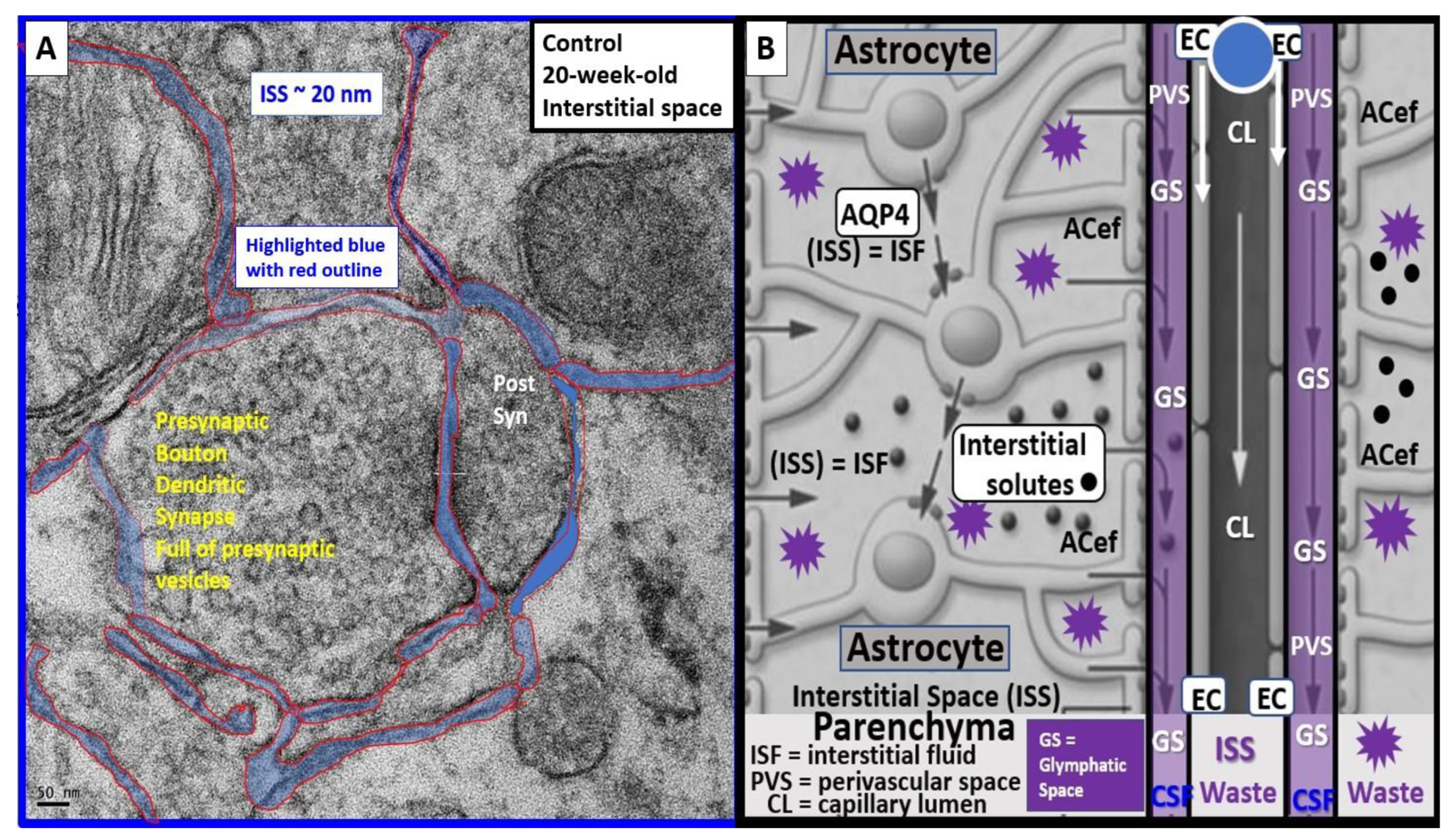 Medicina 59 01337 g016